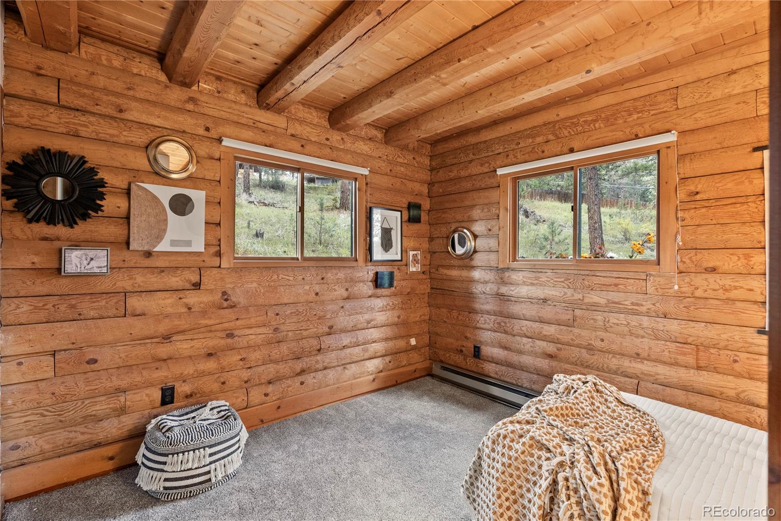 MLS Image #26 for 33608  valley view drive,evergreen, Colorado