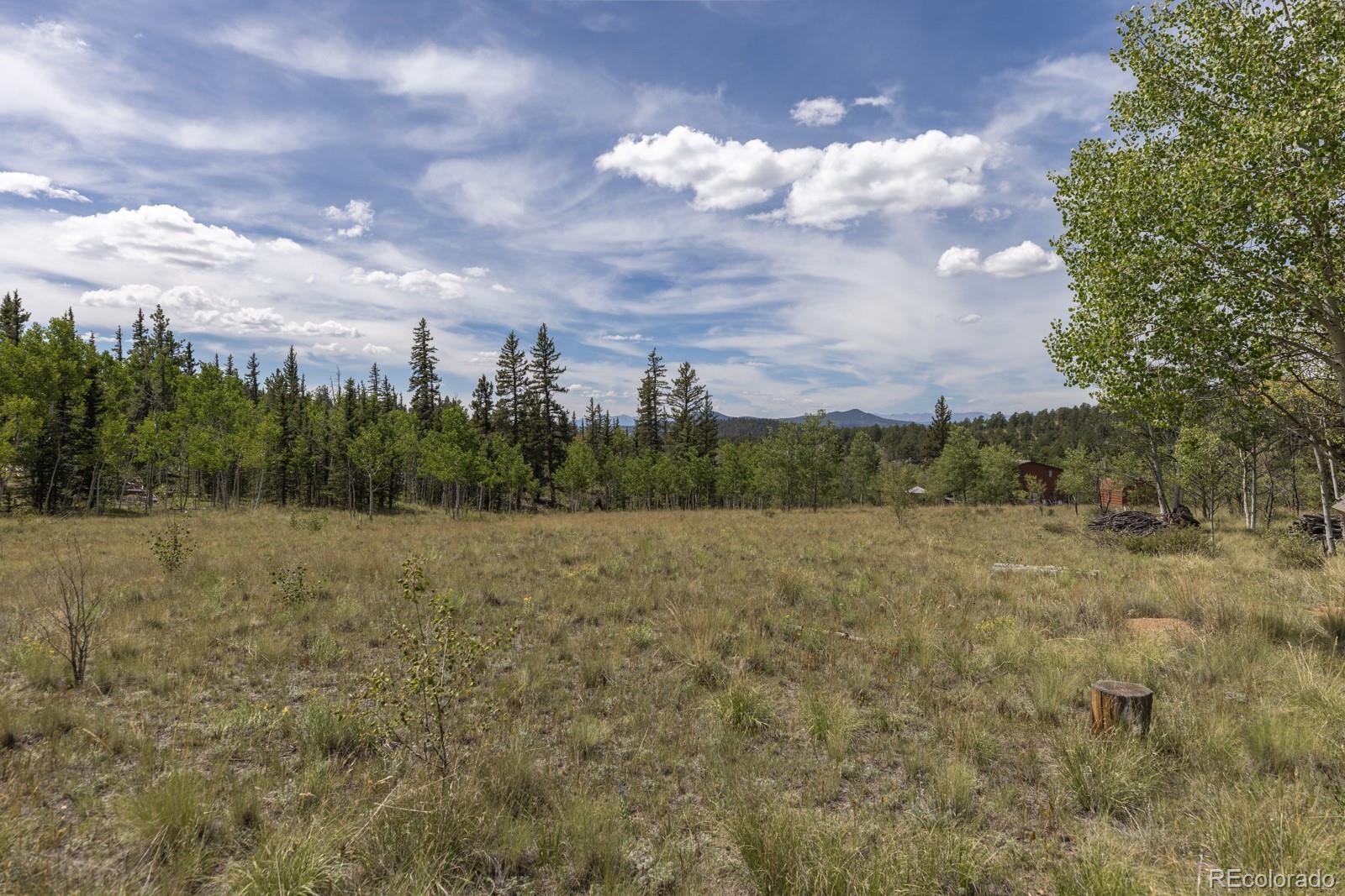 MLS Image #31 for 33  sugar loaf lane,jefferson, Colorado