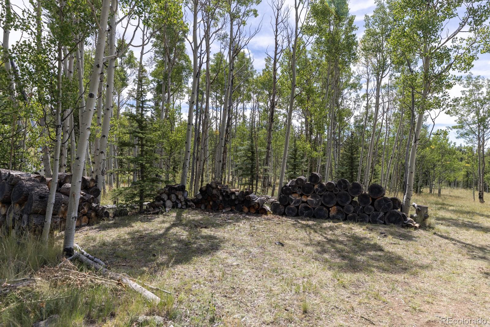 MLS Image #32 for 33  sugar loaf lane,jefferson, Colorado