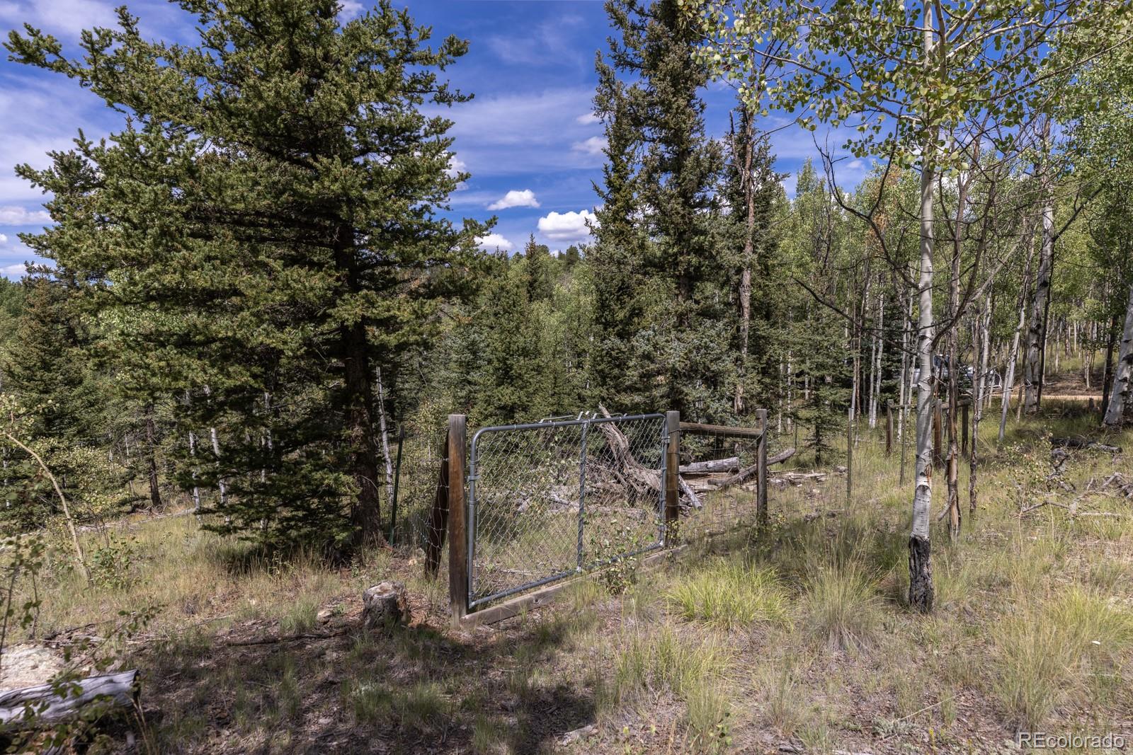 MLS Image #33 for 33  sugar loaf lane,jefferson, Colorado