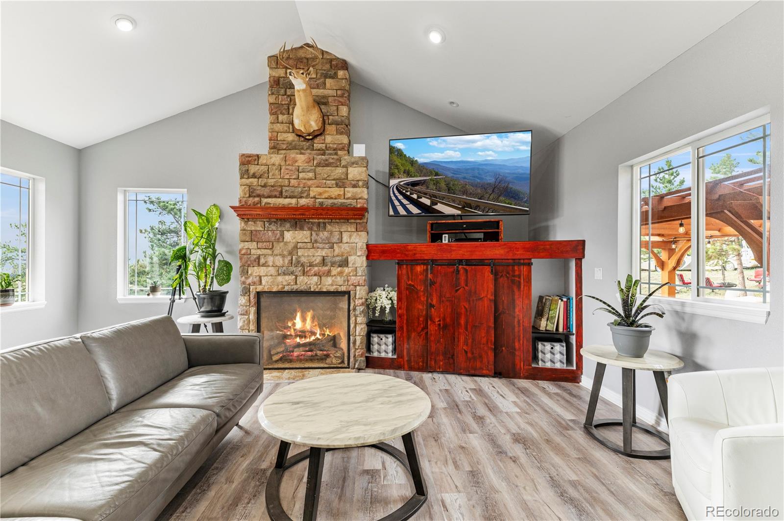 MLS Image #8 for 2413  county rd 403 ,florissant, Colorado