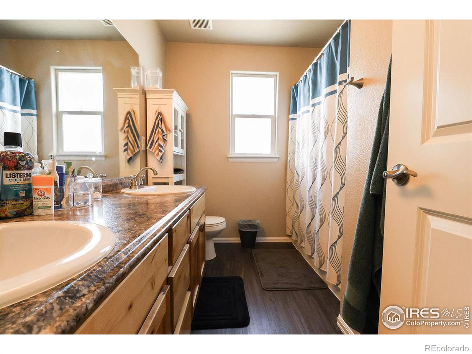 MLS Image #9 for 470  mt belford avenue,severance, Colorado