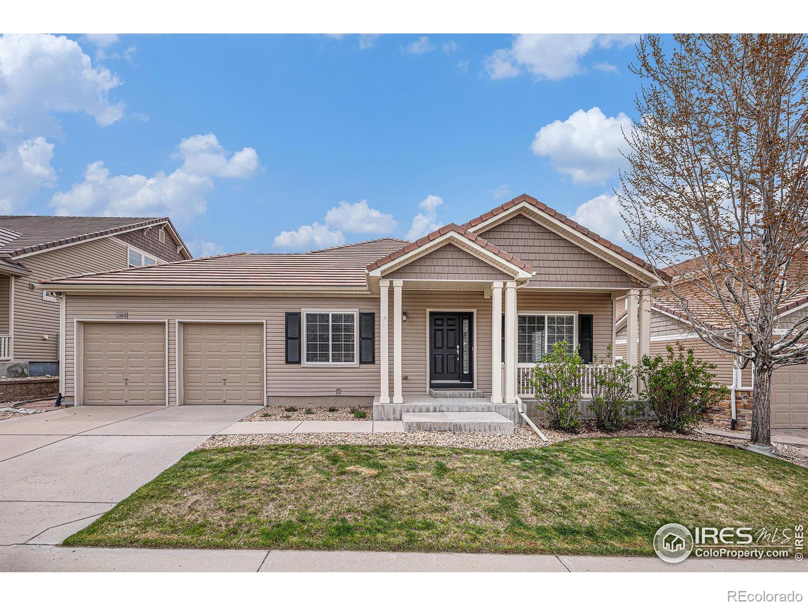 MLS Image #0 for 1303  candleglow street,castle rock, Colorado