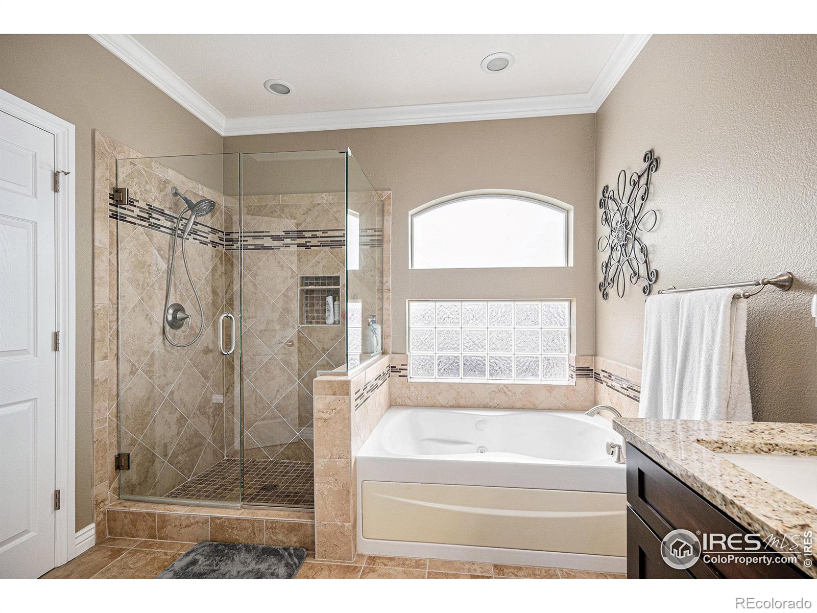 MLS Image #12 for 1303  candleglow street,castle rock, Colorado