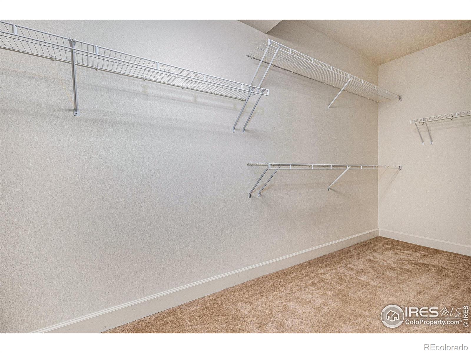 MLS Image #13 for 1303  candleglow street,castle rock, Colorado