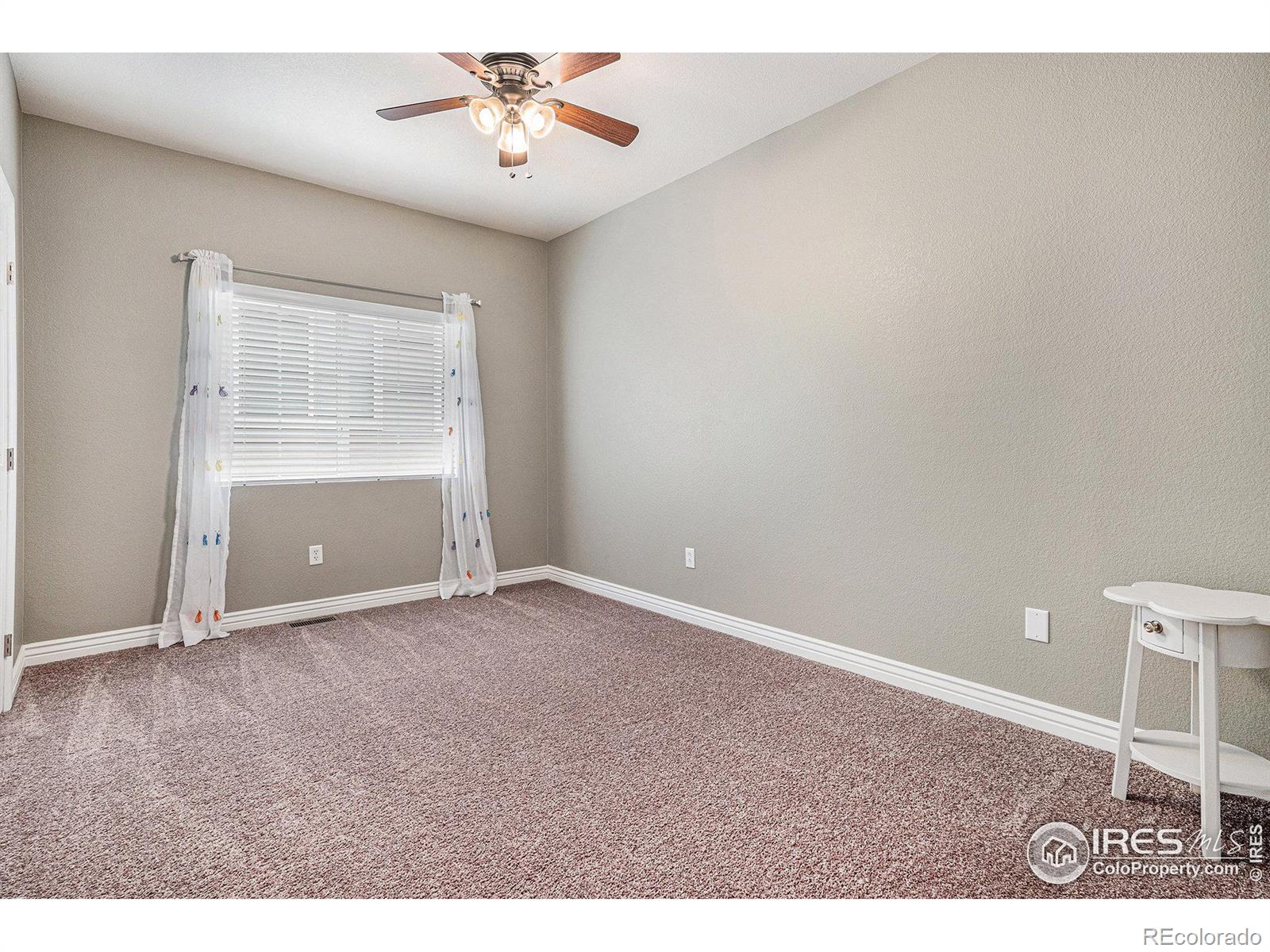 MLS Image #14 for 1303  candleglow street,castle rock, Colorado