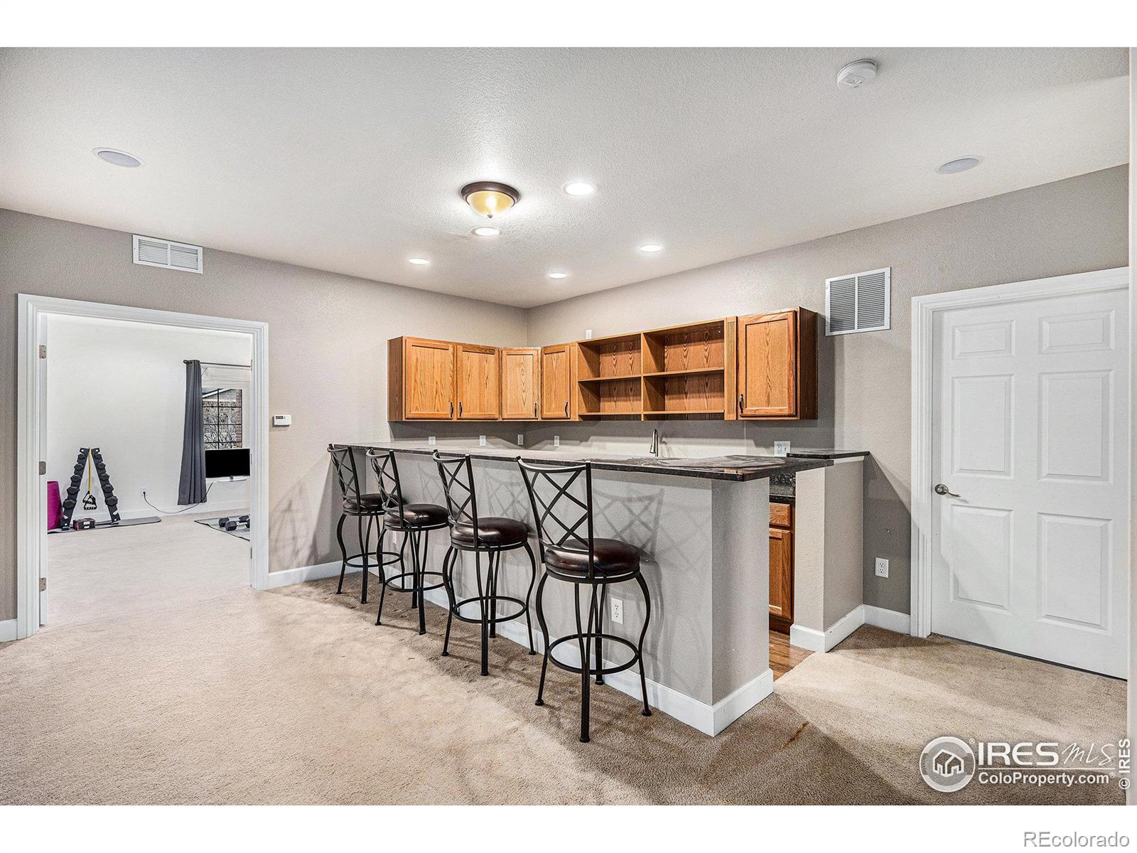 MLS Image #16 for 1303  candleglow street,castle rock, Colorado