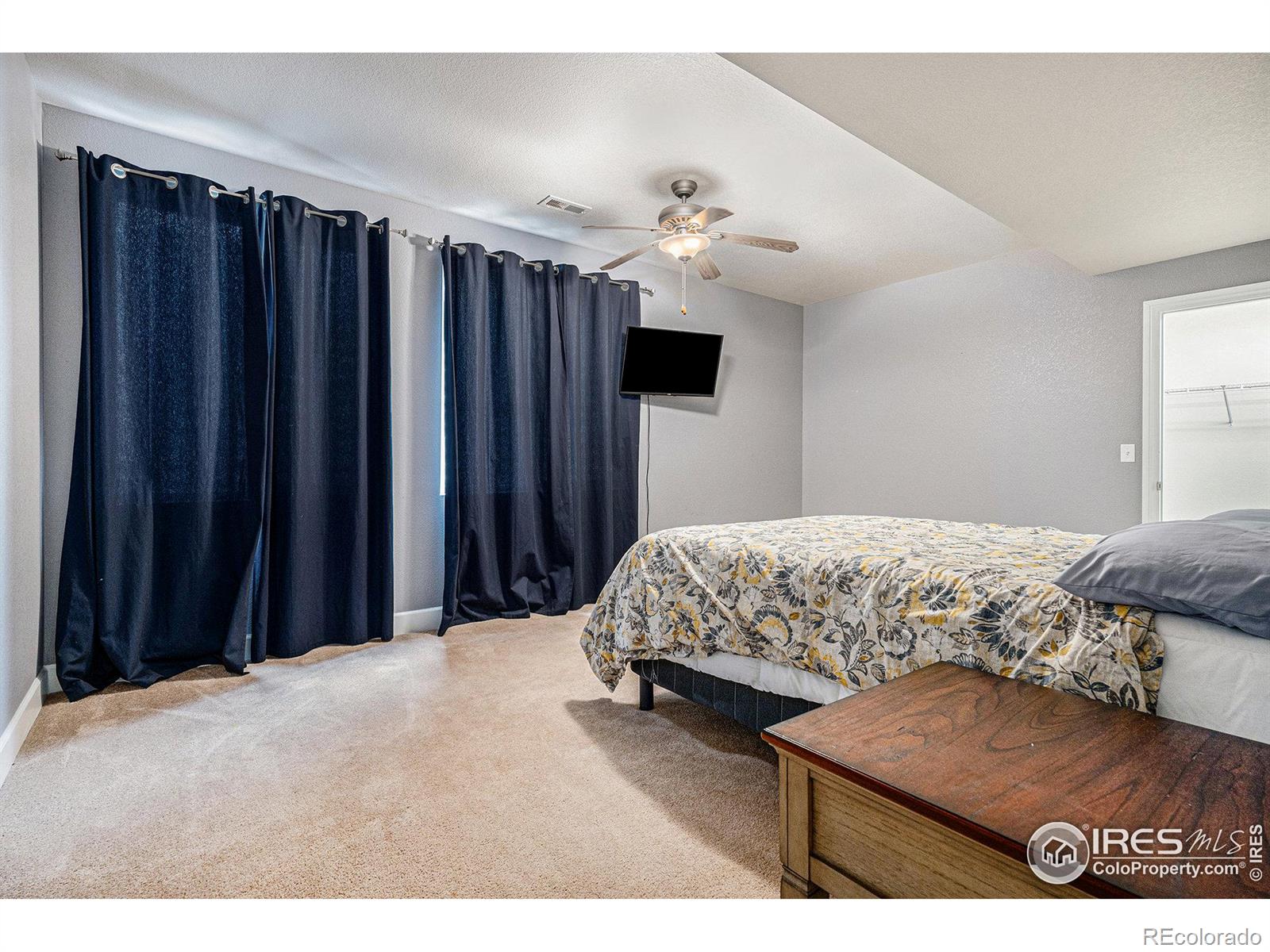 MLS Image #21 for 1303  candleglow street,castle rock, Colorado