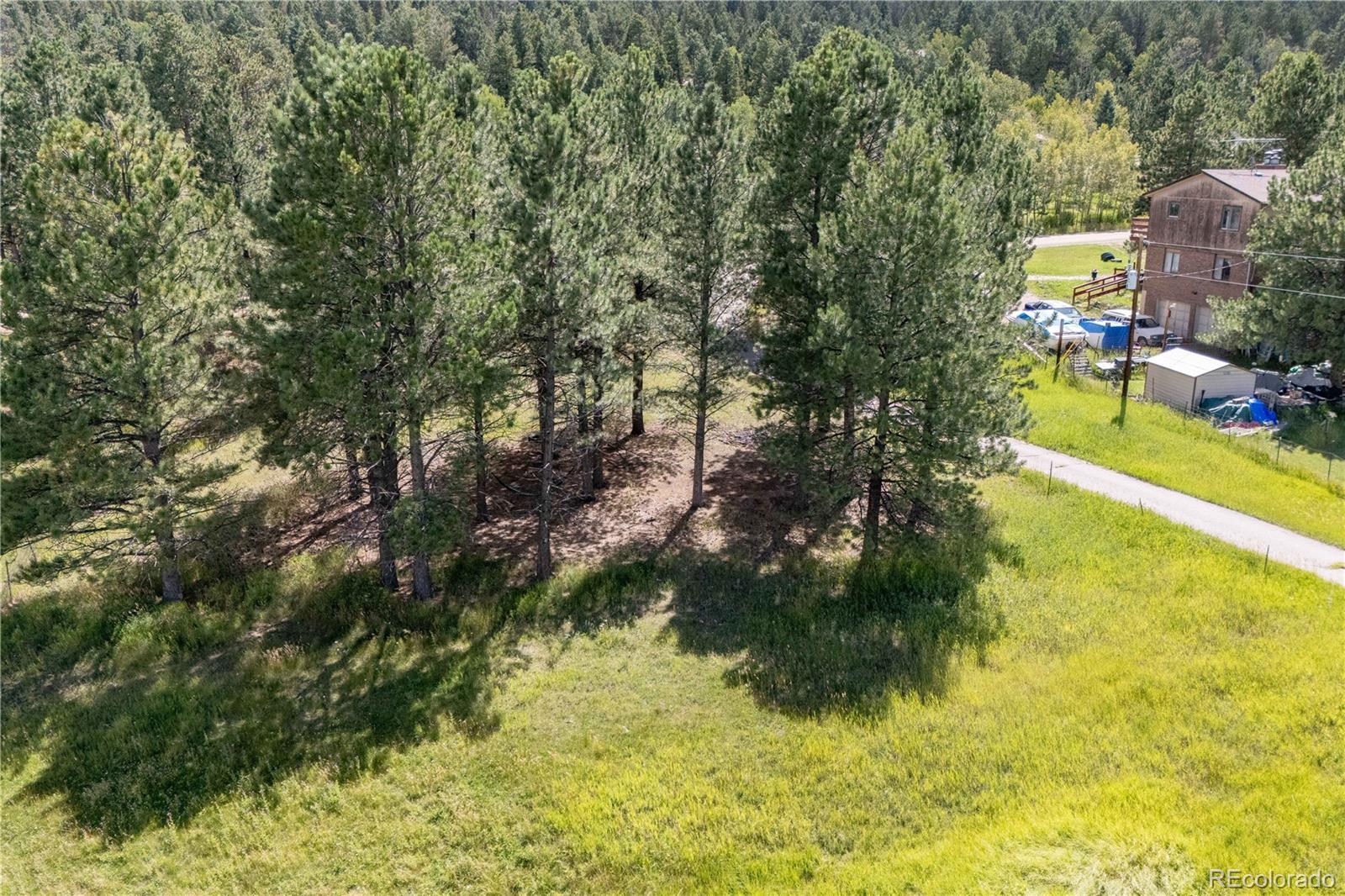 MLS Image #25 for 393  yellow pine drive,bailey, Colorado