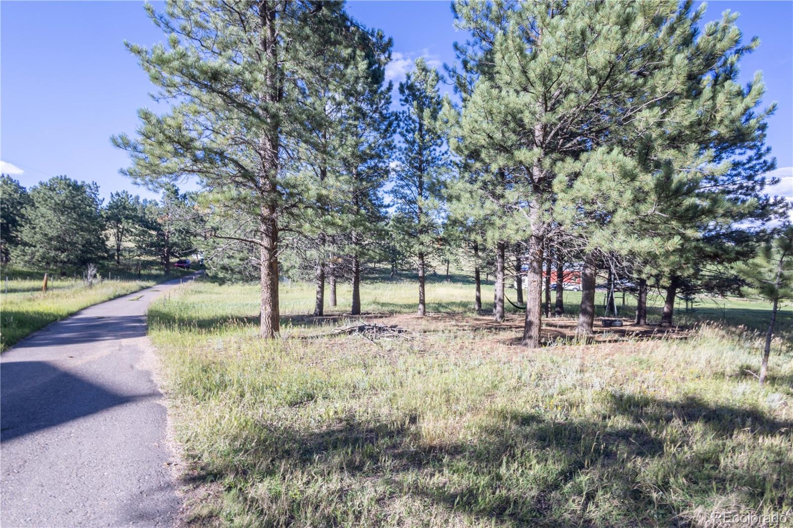 MLS Image #42 for 393  yellow pine drive,bailey, Colorado