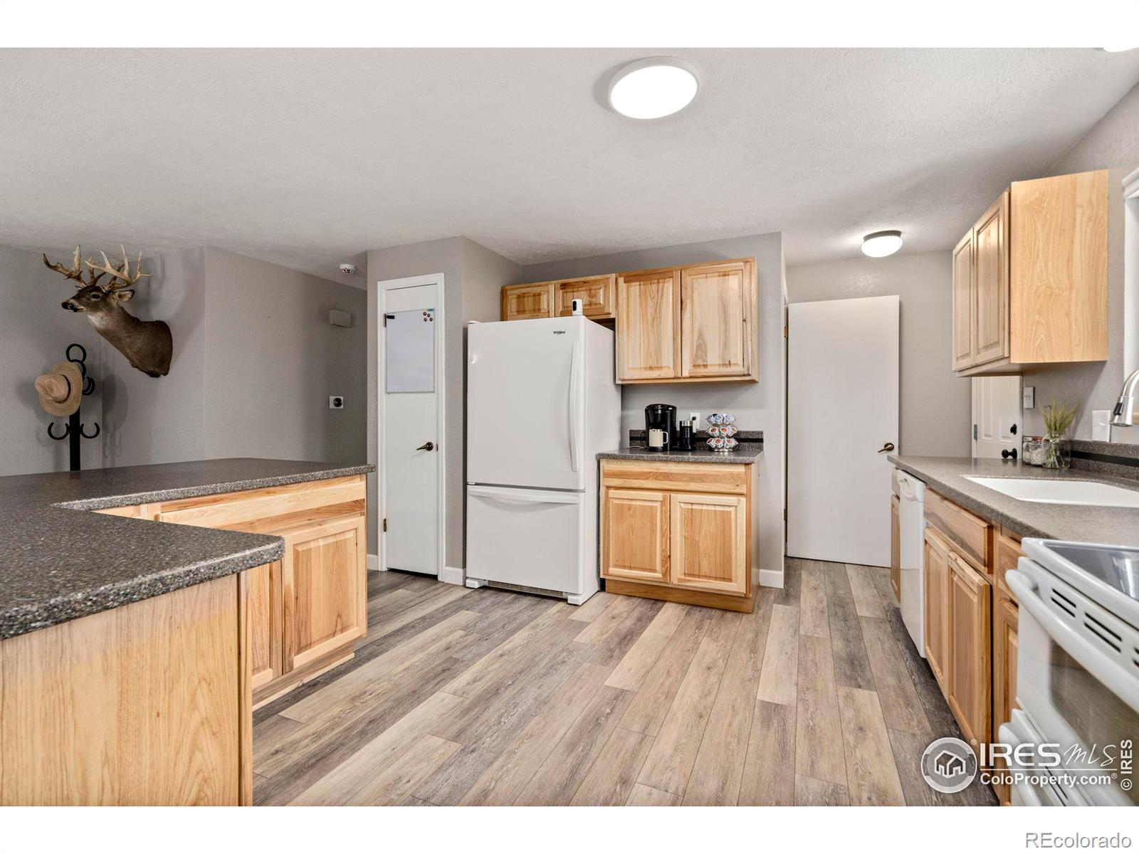 MLS Image #8 for 3113 n douglas avenue,loveland, Colorado