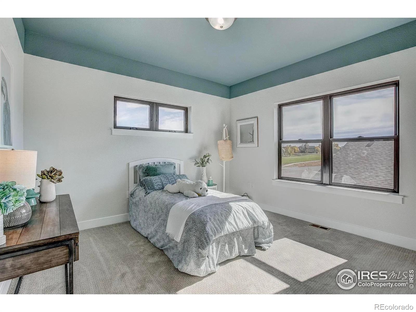 MLS Image #20 for 8414  cromwell circle,windsor, Colorado