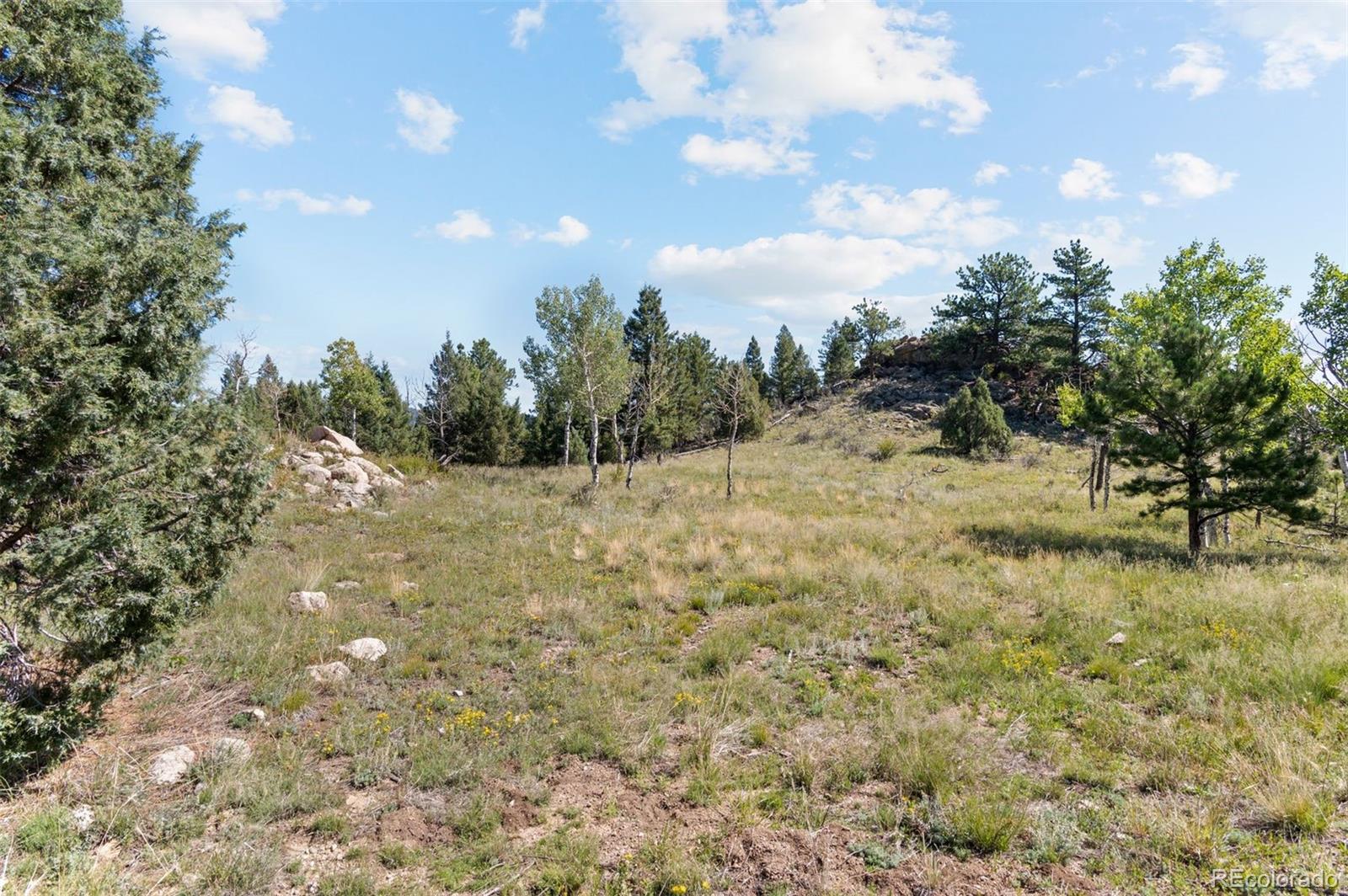 MLS Image #47 for 33958  running bear trail,pine, Colorado