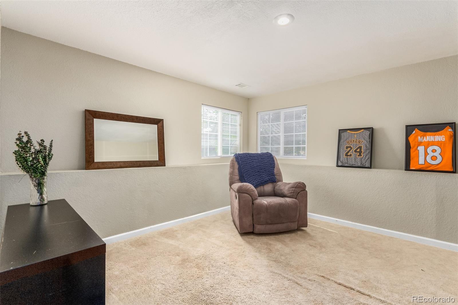 MLS Image #13 for 2617 s danube way,aurora, Colorado