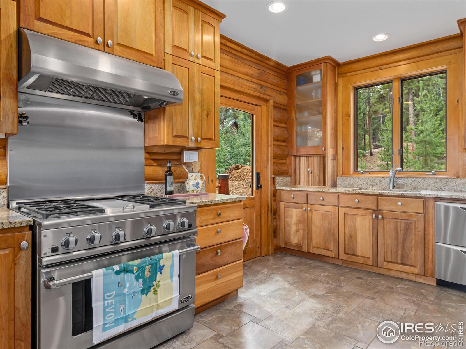 MLS Image #10 for 287 s skinner road,allenspark, Colorado