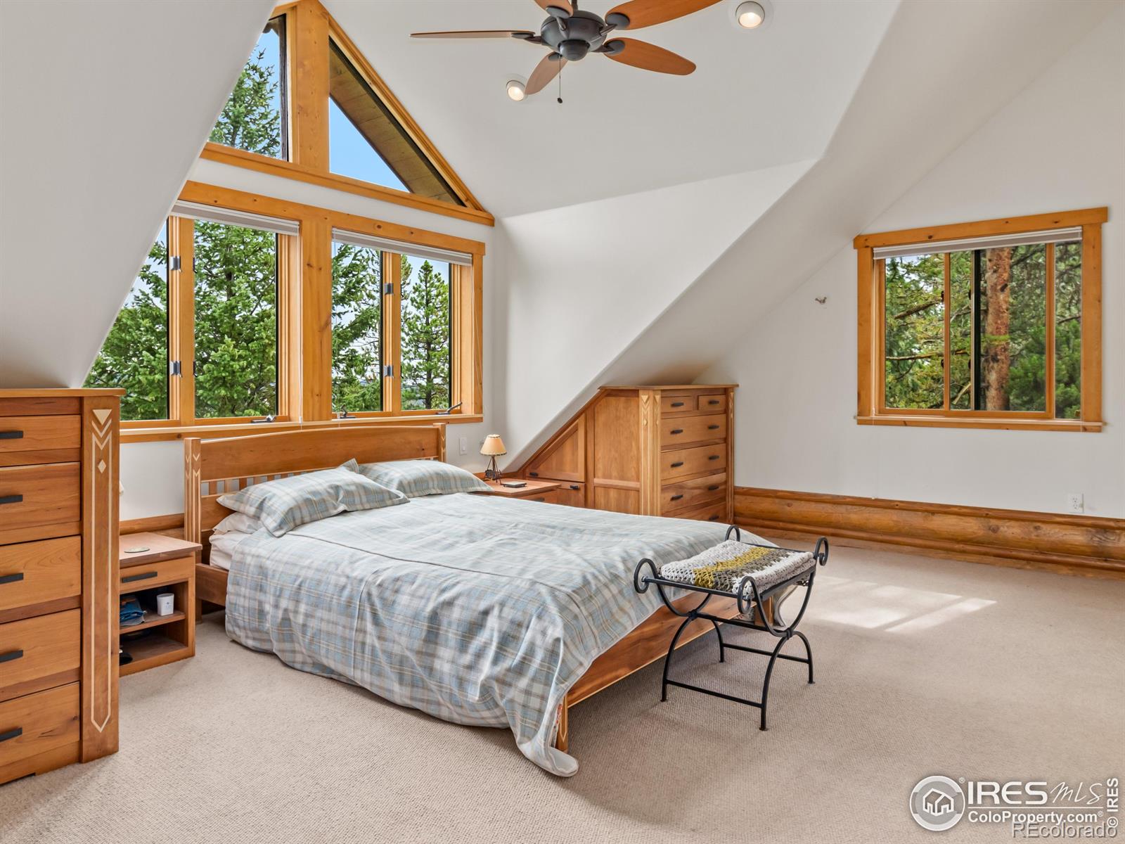 MLS Image #14 for 287 s skinner road,allenspark, Colorado