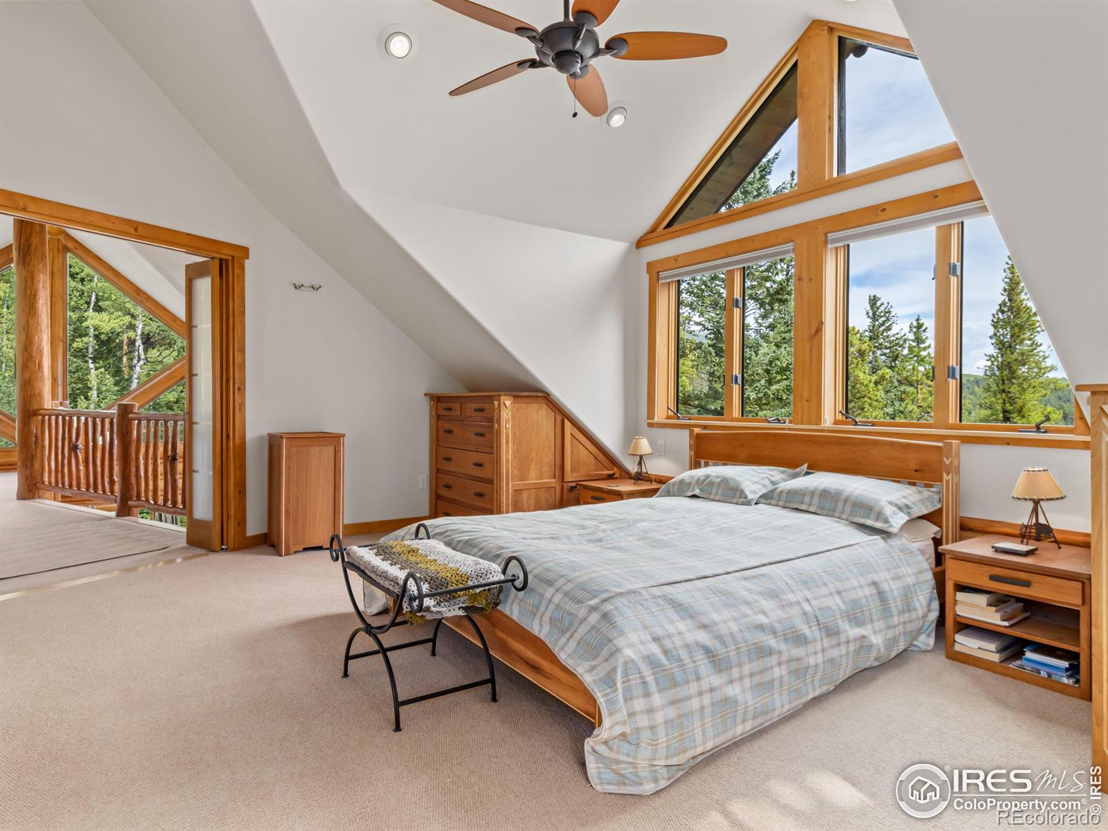 MLS Image #15 for 287 s skinner road,allenspark, Colorado