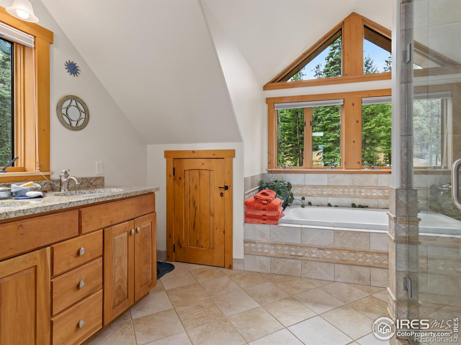 MLS Image #17 for 287 s skinner road,allenspark, Colorado