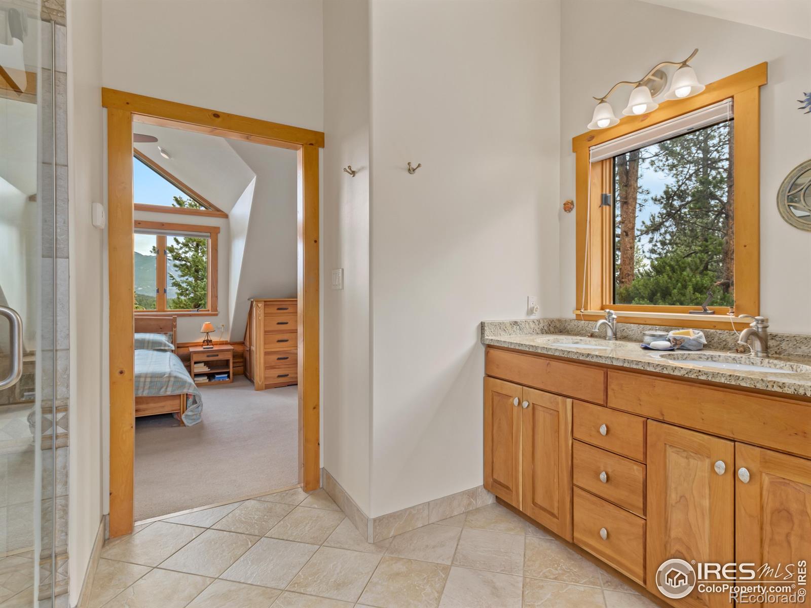 MLS Image #18 for 287 s skinner road,allenspark, Colorado