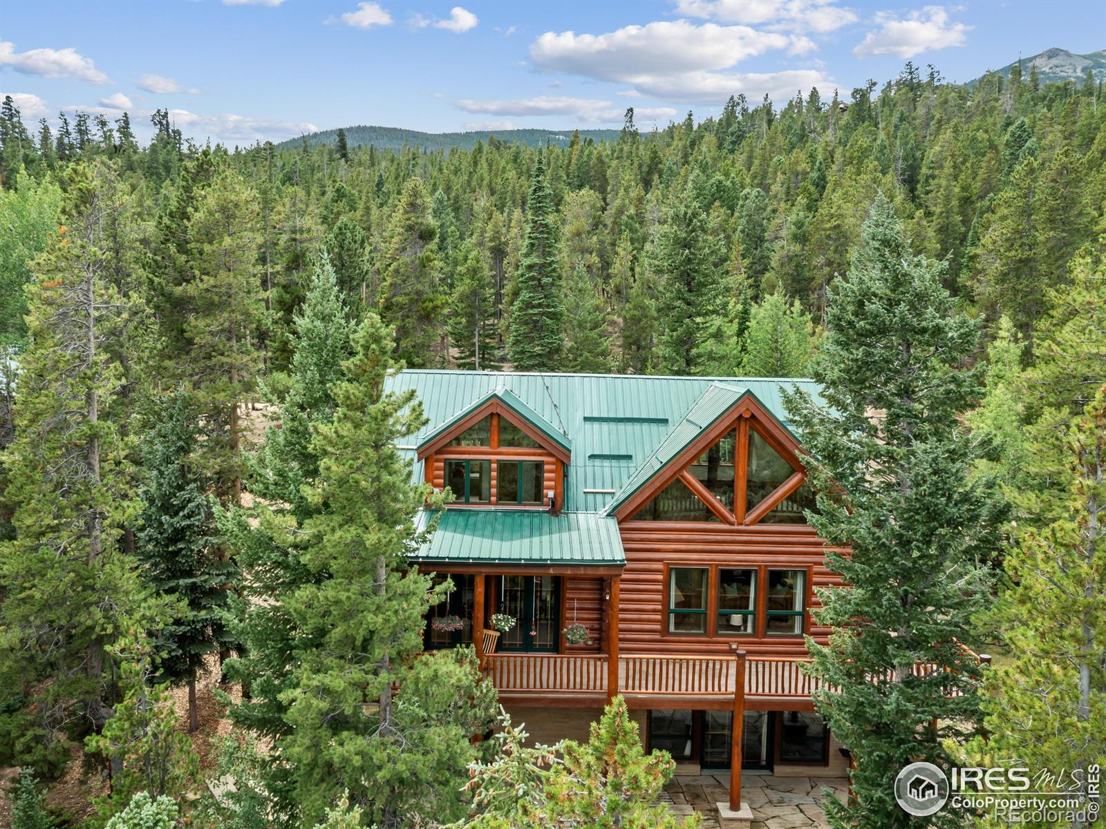 MLS Image #2 for 287 s skinner road,allenspark, Colorado