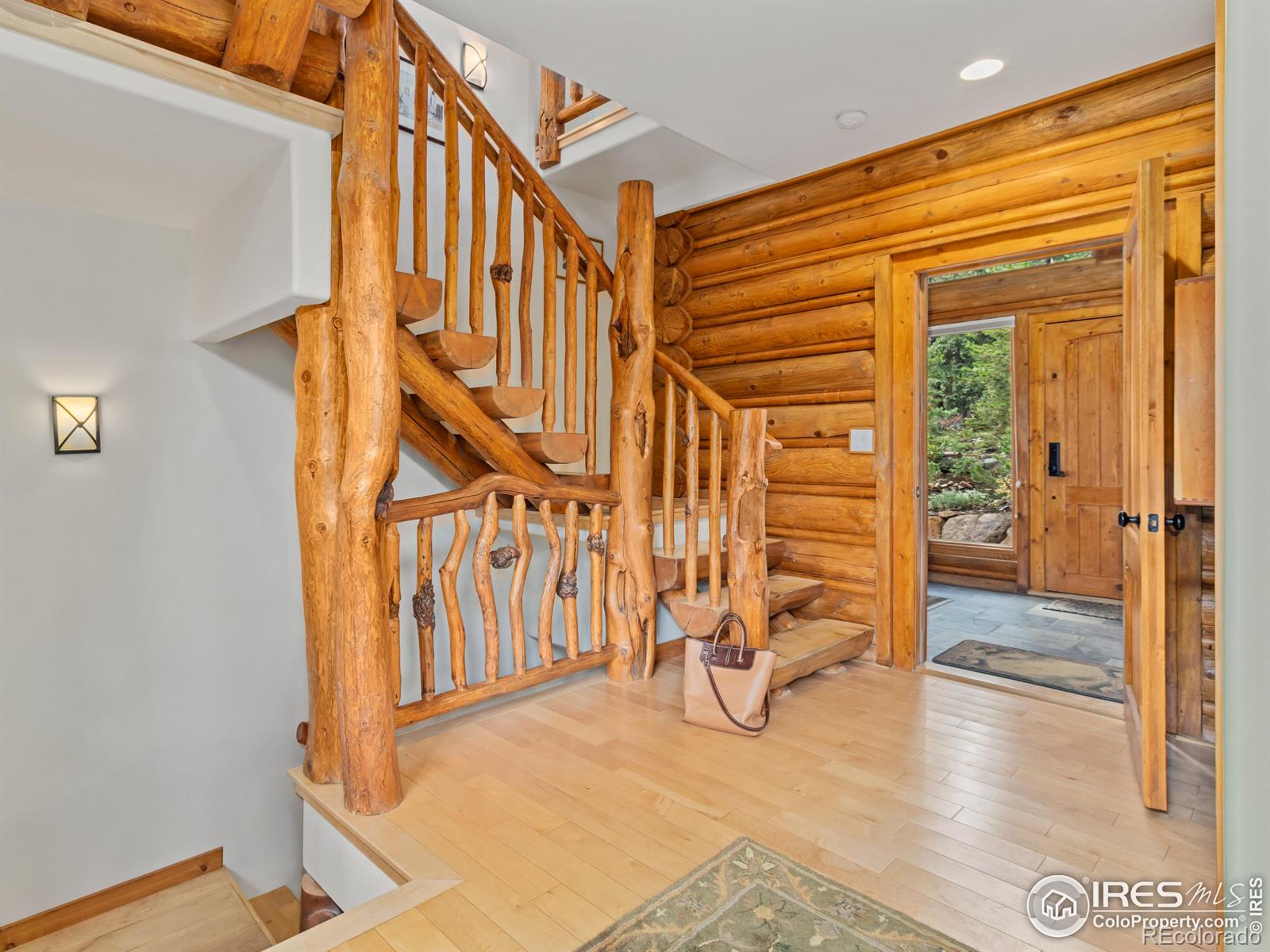 MLS Image #22 for 287 s skinner road,allenspark, Colorado