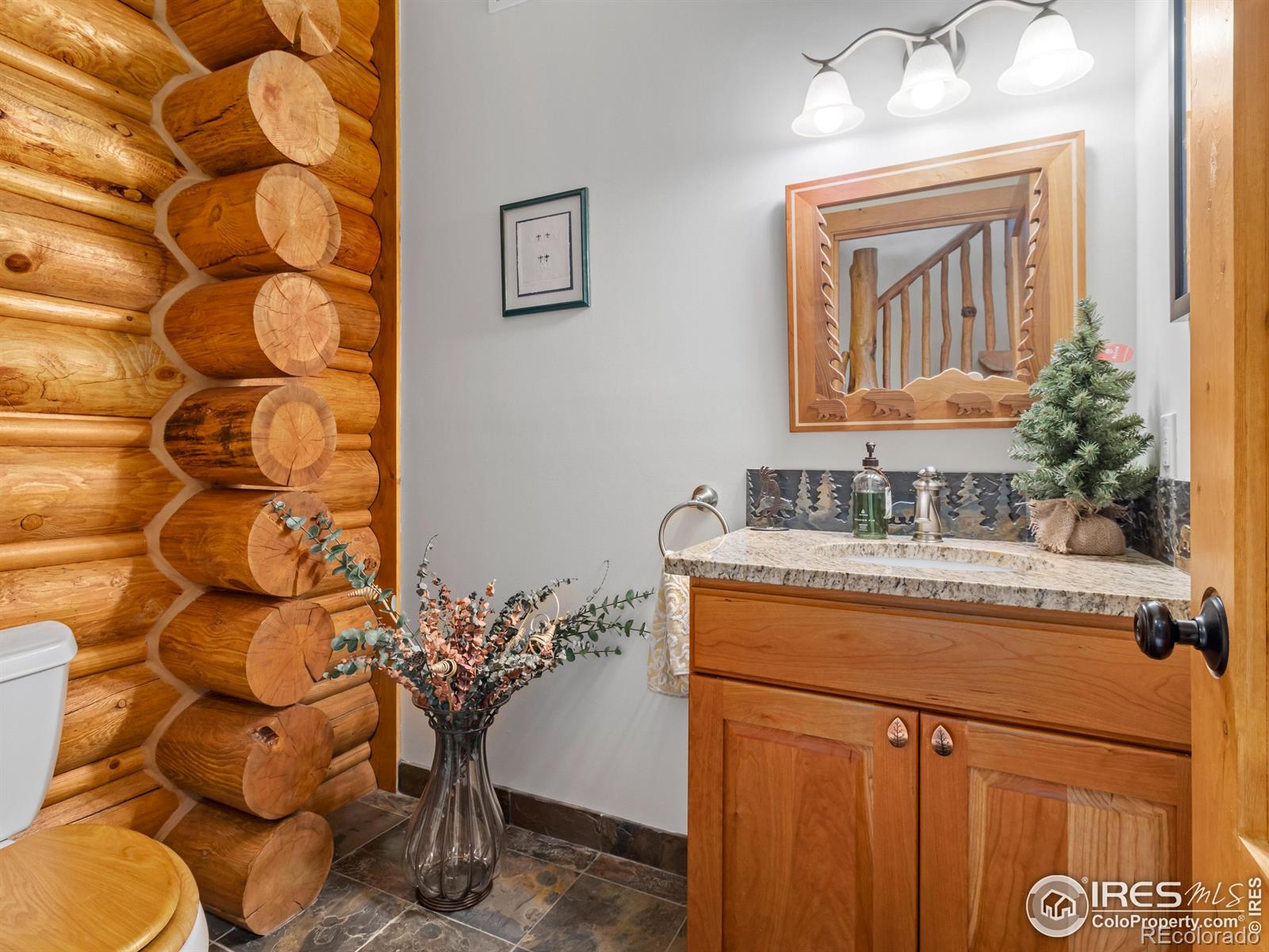 MLS Image #24 for 287 s skinner road,allenspark, Colorado