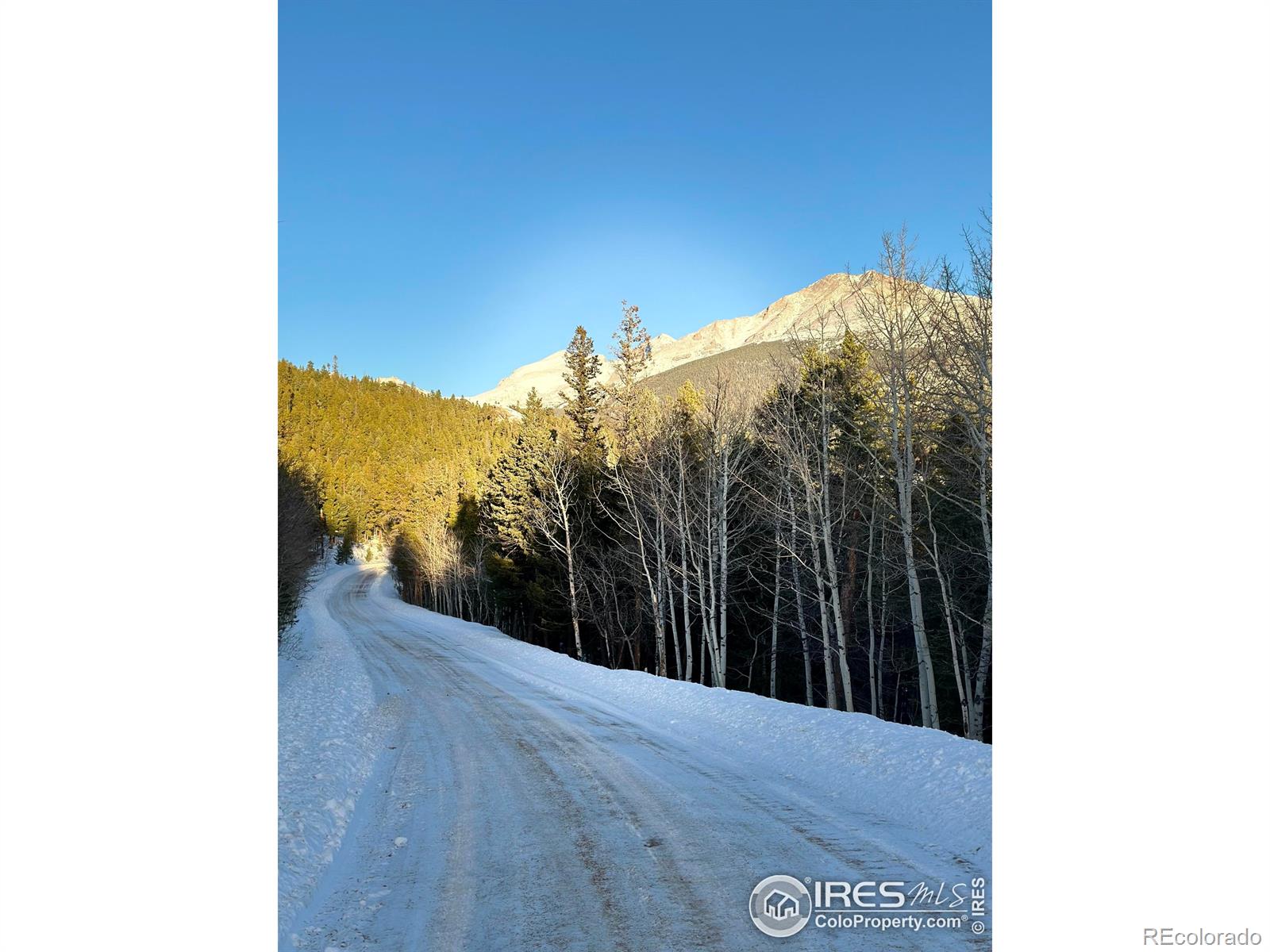 MLS Image #39 for 287 s skinner road,allenspark, Colorado