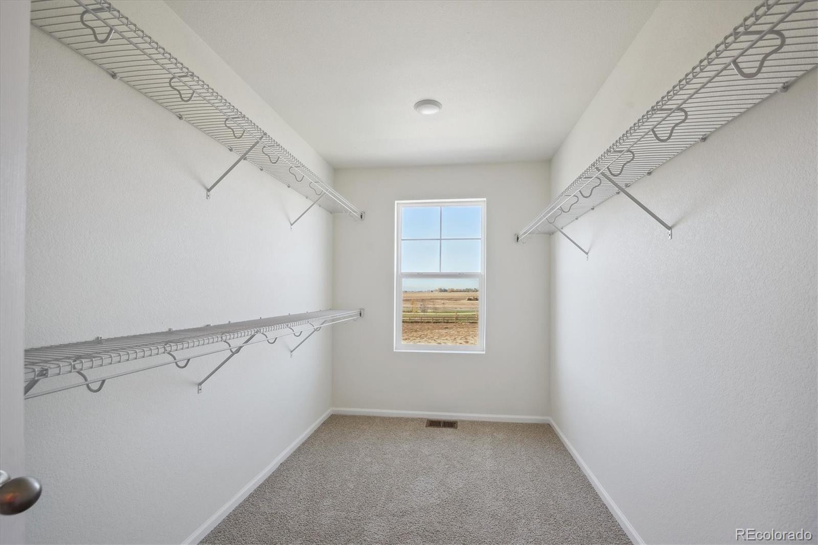 MLS Image #13 for 989  sandhills street,windsor, Colorado