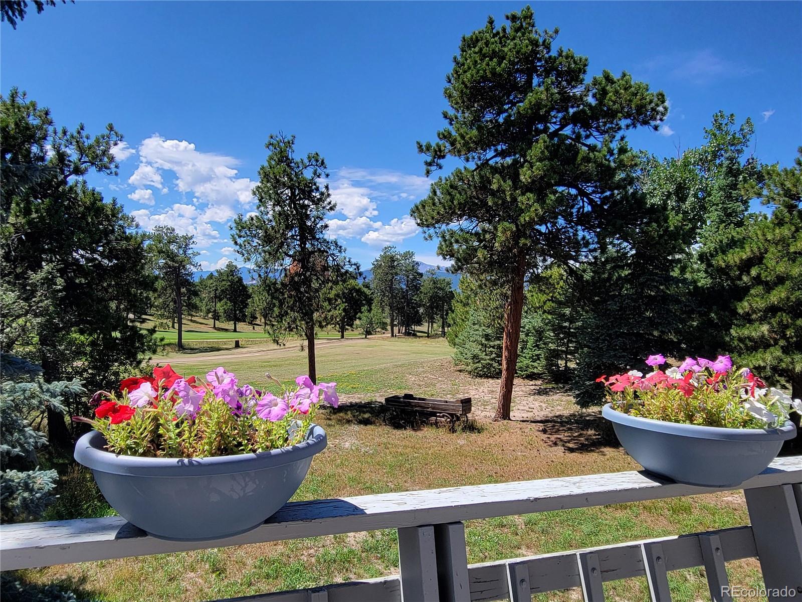 MLS Image #15 for 255  tam o shanter way,monument, Colorado