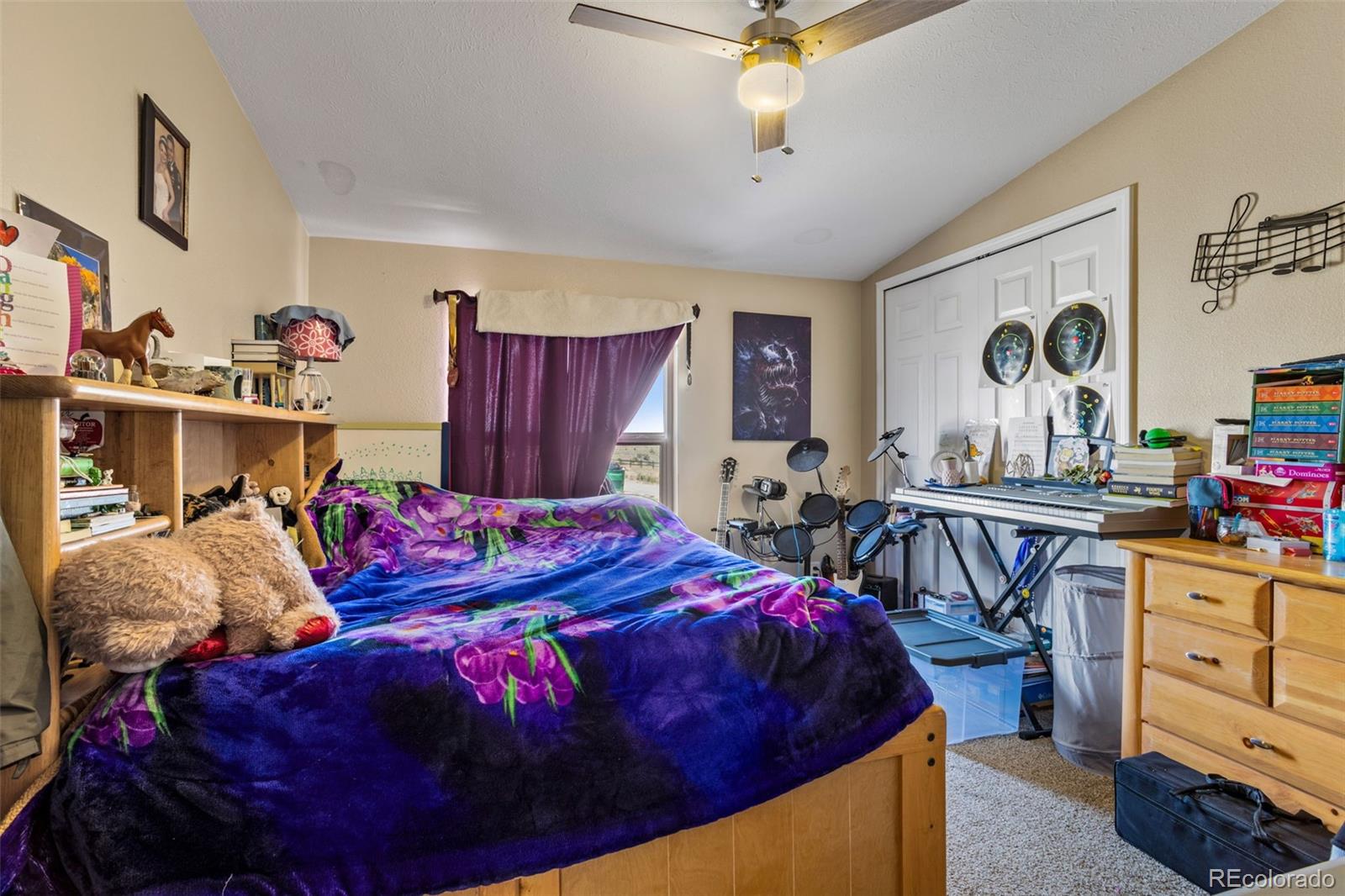 MLS Image #23 for 10015  calle bernardo point,fountain, Colorado