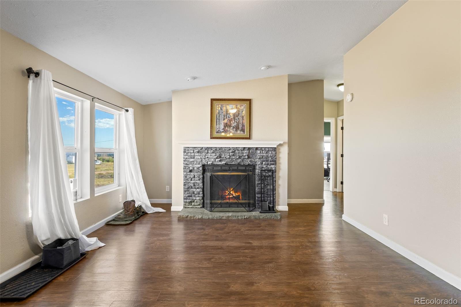 MLS Image #3 for 10015  calle bernardo point,fountain, Colorado