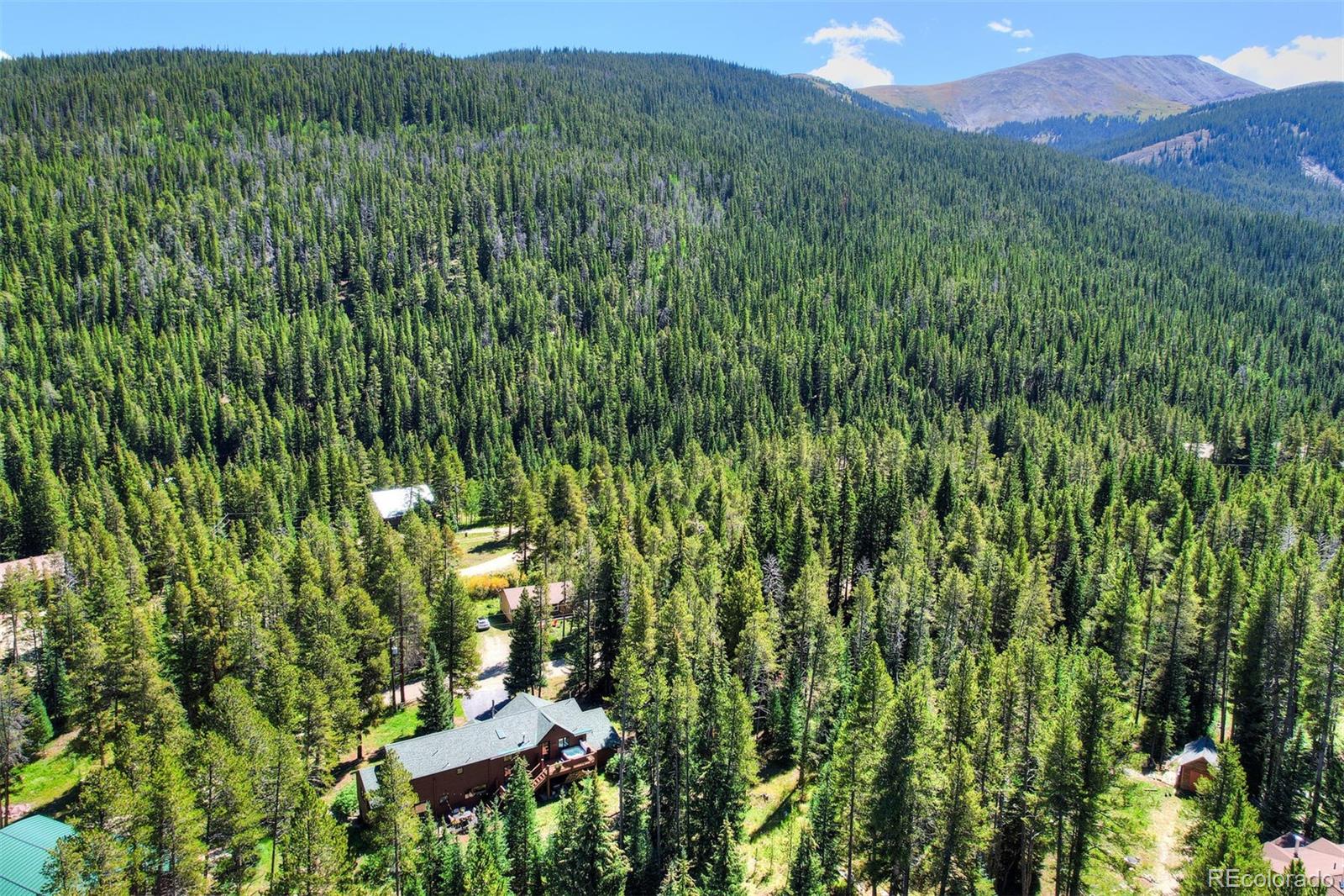 MLS Image #37 for 211  sherwood lane,breckenridge, Colorado