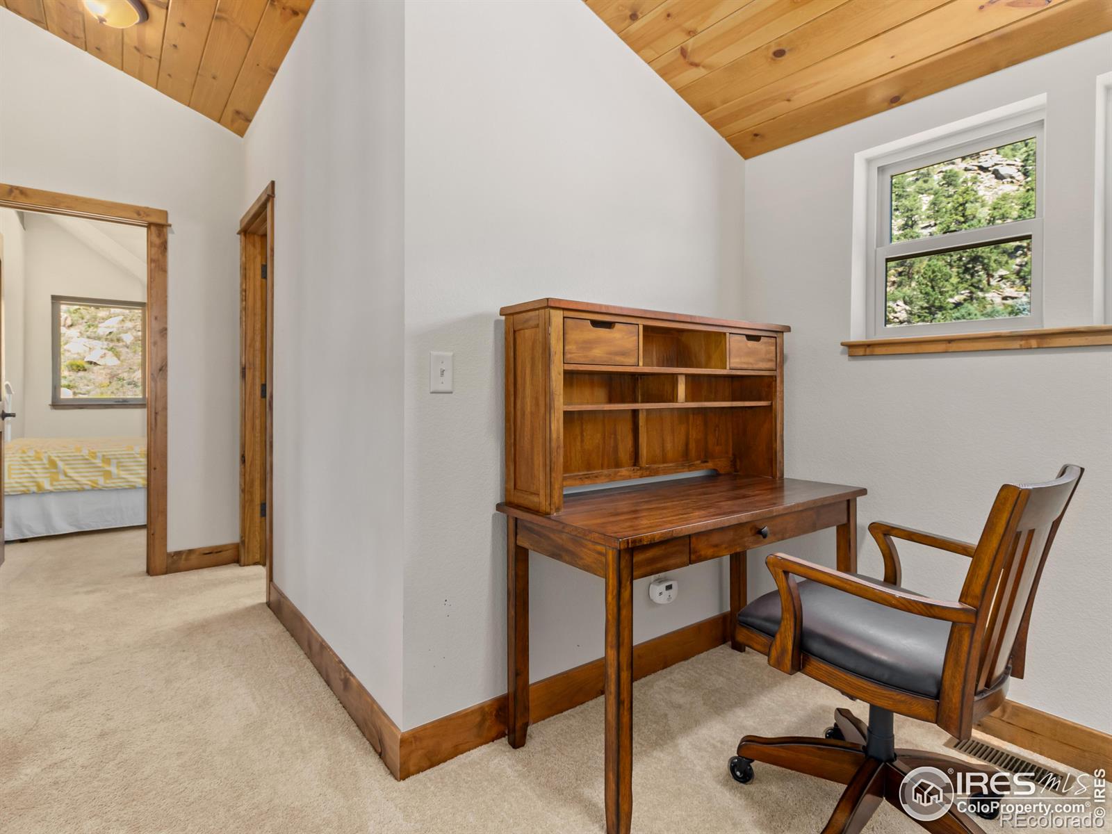 MLS Image #32 for 1466  narcissus drive,estes park, Colorado