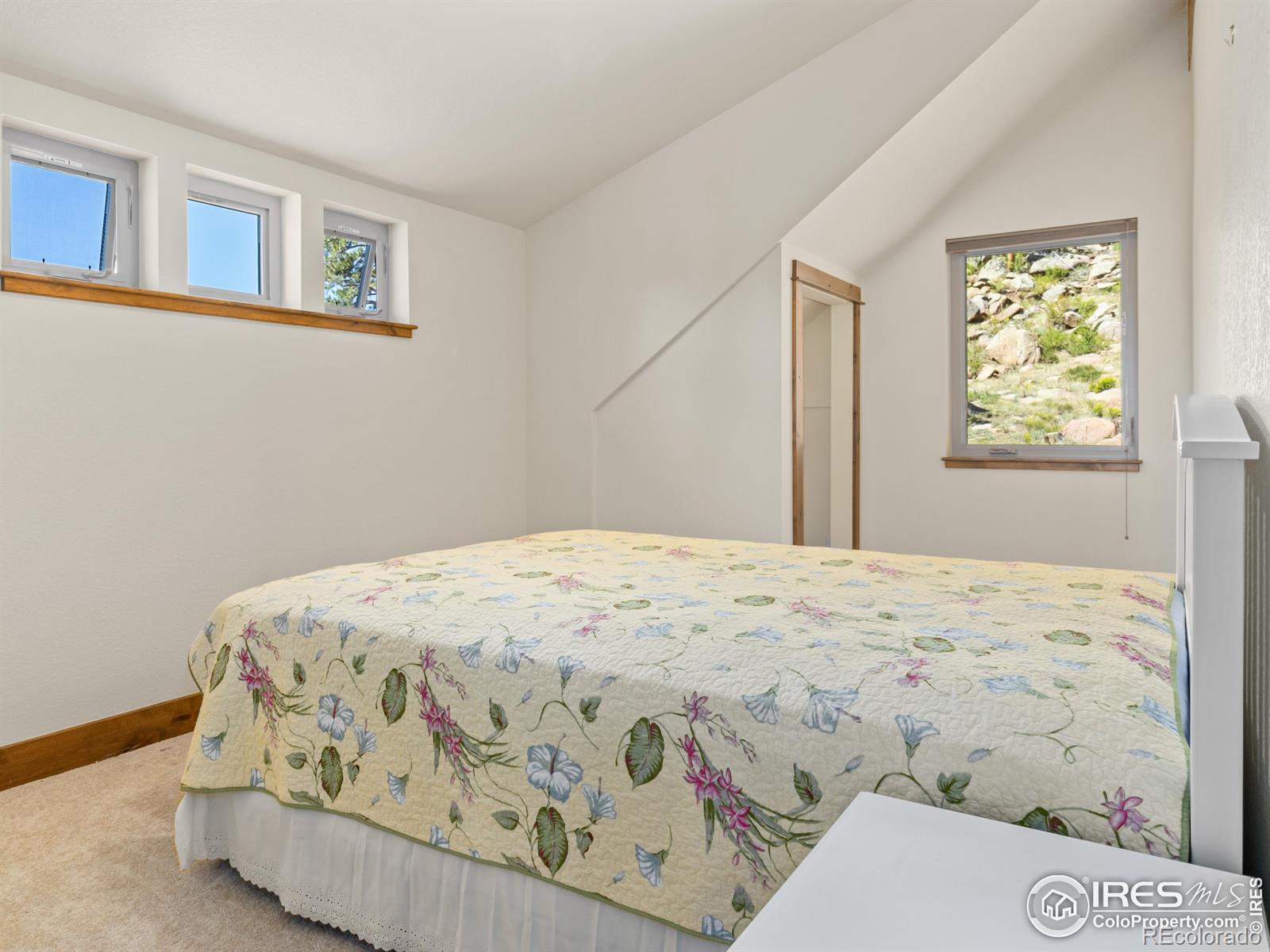 MLS Image #33 for 1466  narcissus drive,estes park, Colorado