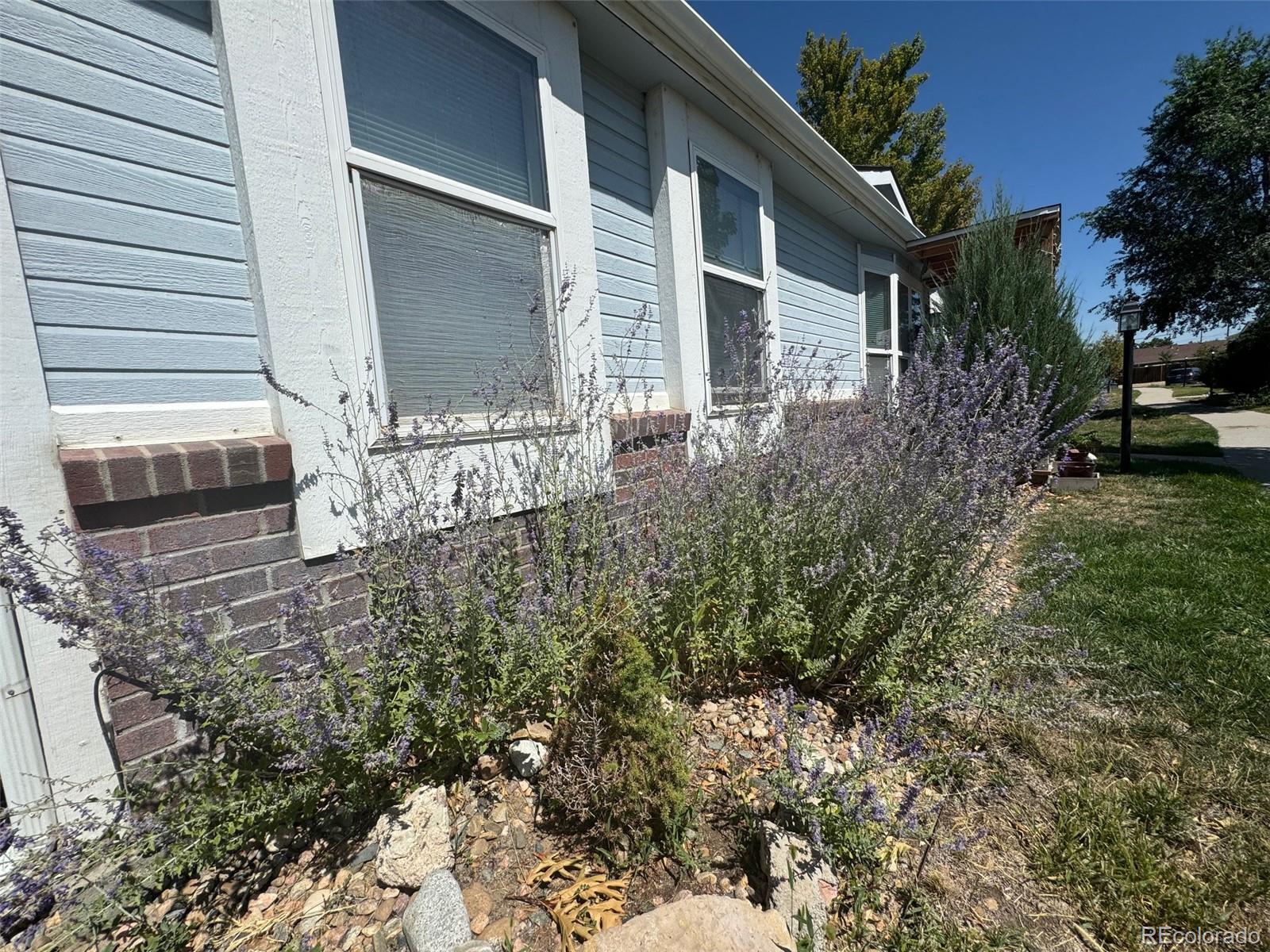 MLS Image #6 for 6631  78th avenue,commerce city, Colorado