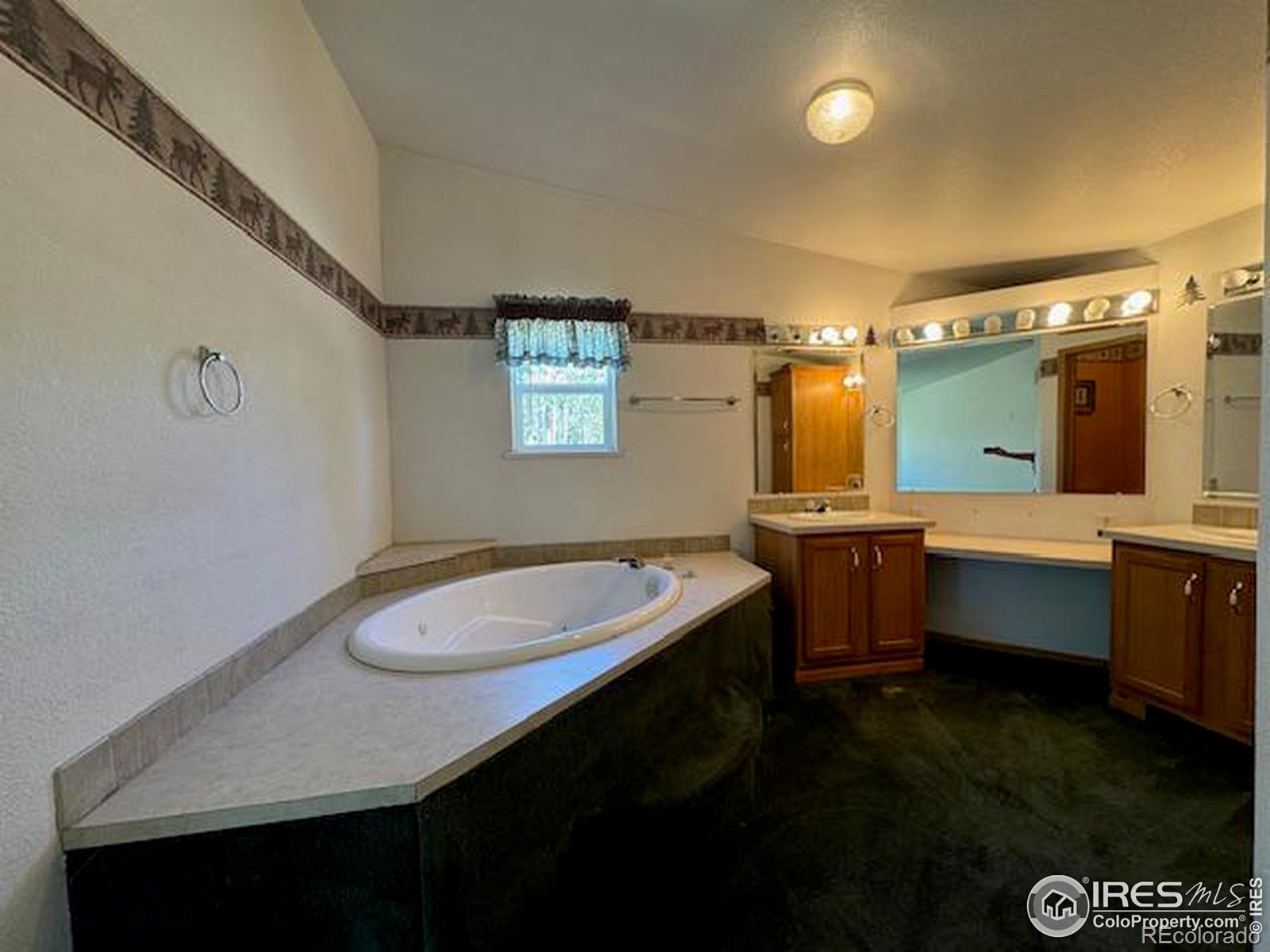 MLS Image #14 for 105  hilltop drive,walden, Colorado