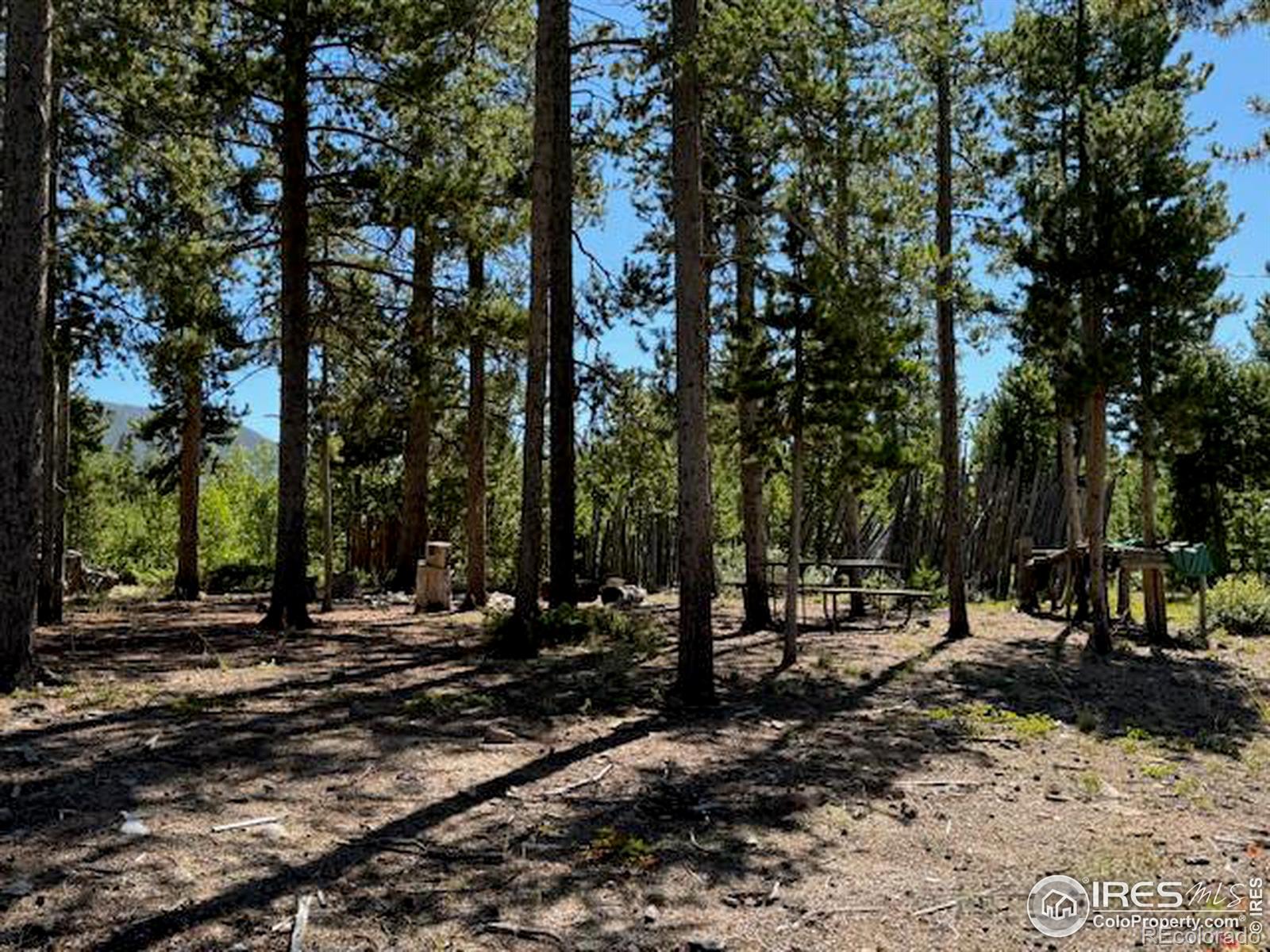 MLS Image #29 for 105  hilltop drive,walden, Colorado