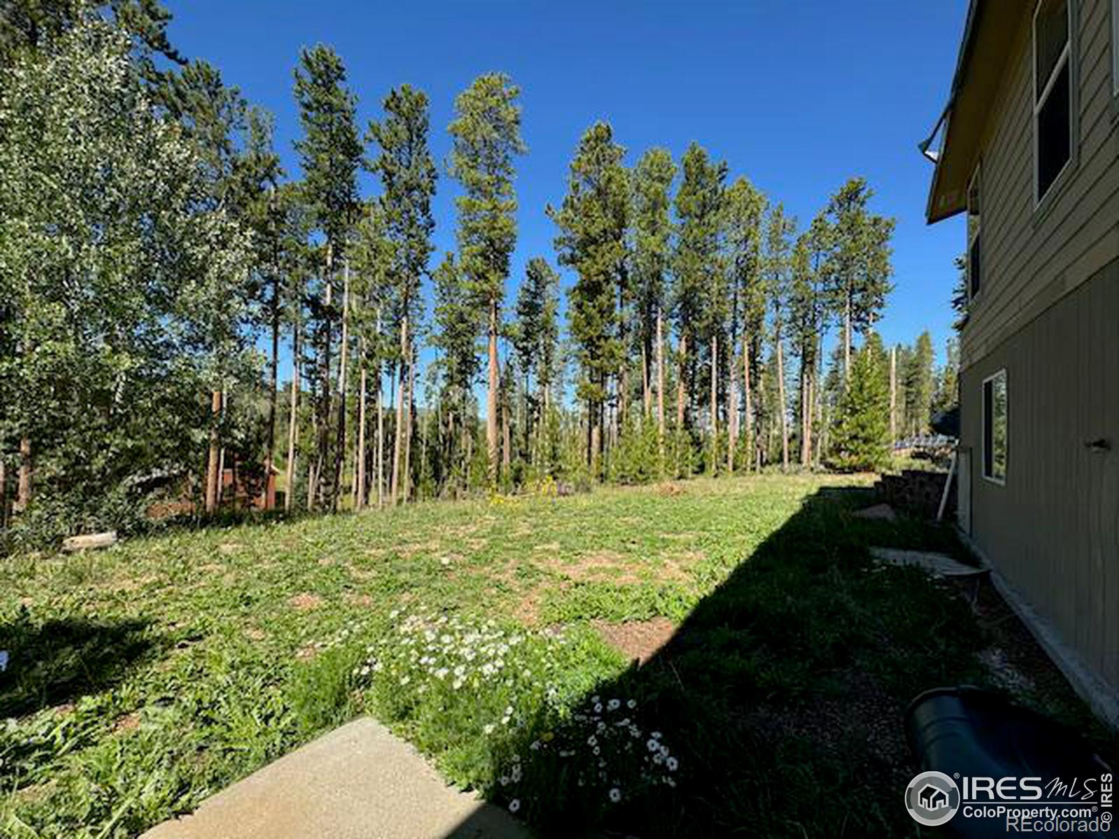 MLS Image #31 for 105  hilltop drive,walden, Colorado