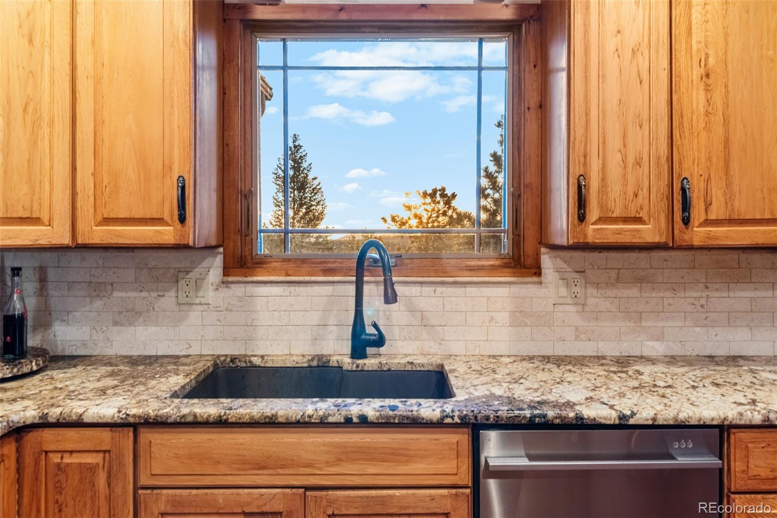 MLS Image #17 for 8440 s warhawk road,conifer, Colorado