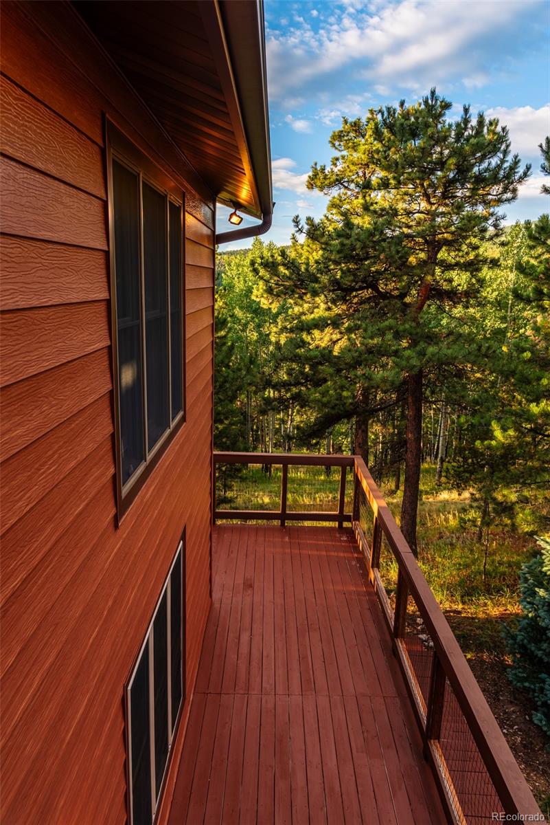 MLS Image #45 for 8440 s warhawk road,conifer, Colorado