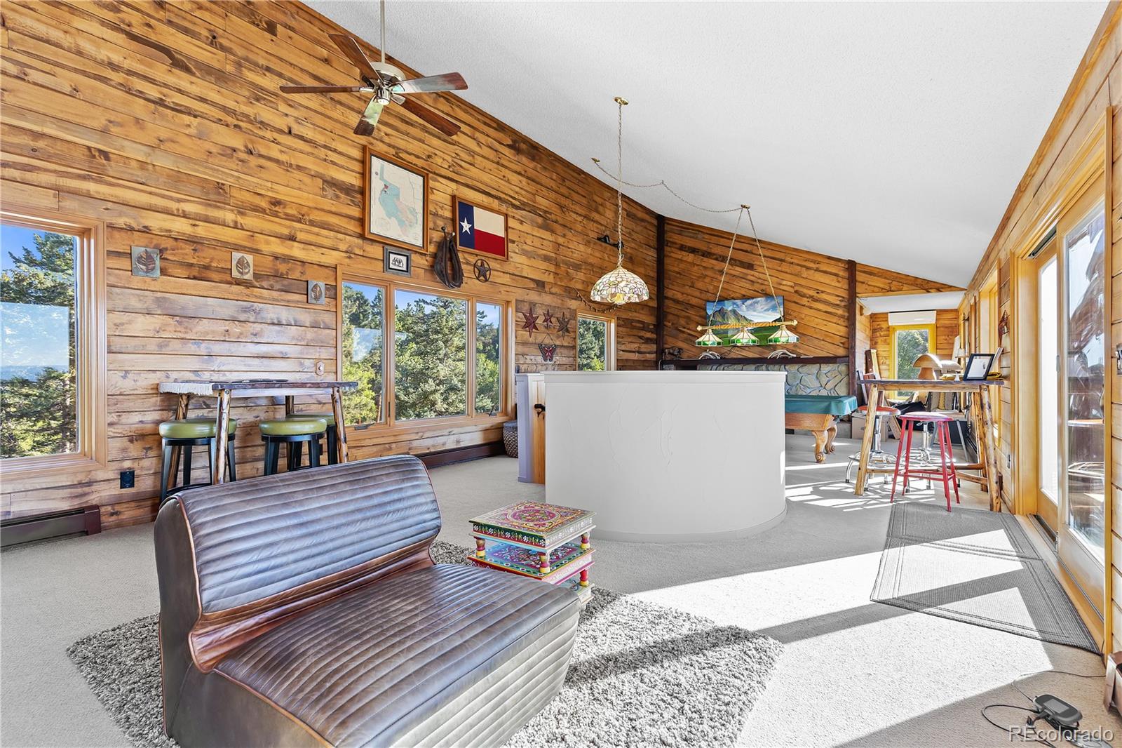 MLS Image #26 for 13035 s baird road,conifer, Colorado