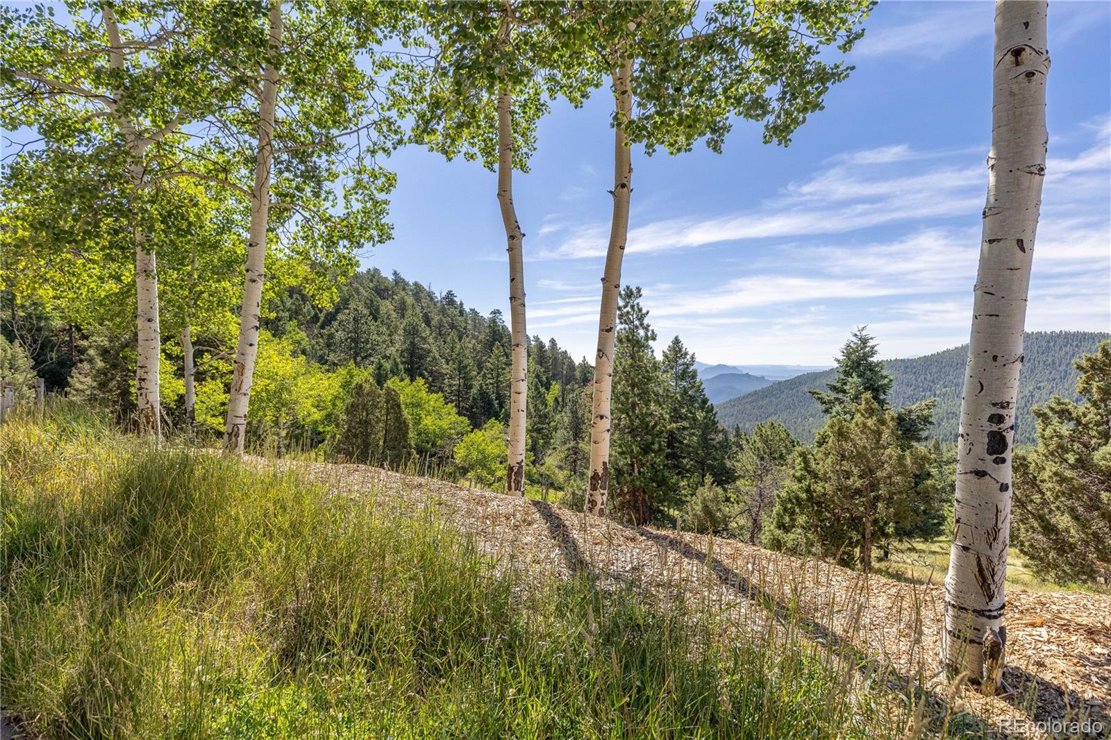 MLS Image #39 for 13035 s baird road,conifer, Colorado