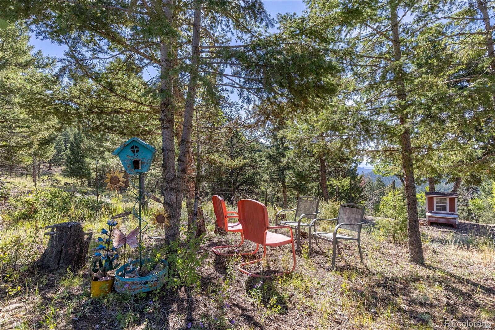 MLS Image #43 for 13035 s baird road,conifer, Colorado