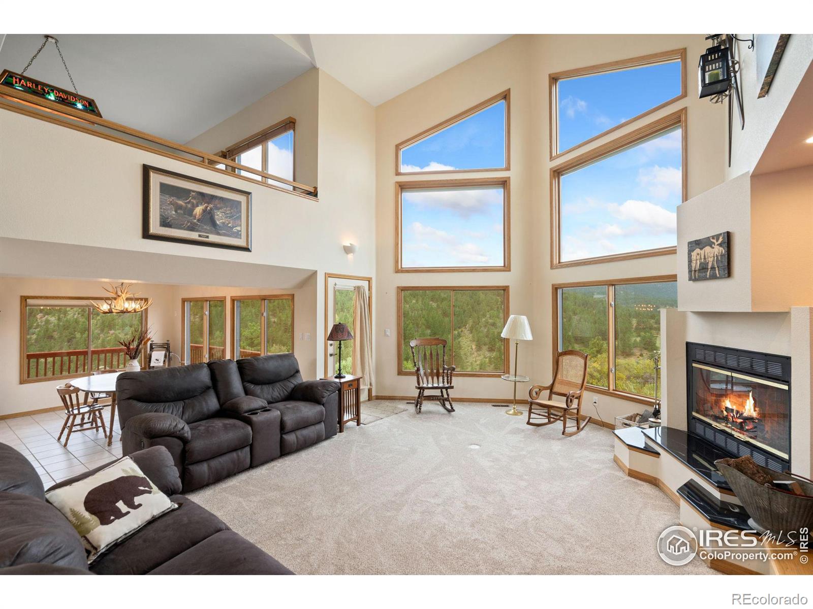 MLS Image #5 for 366 n rim road,livermore, Colorado