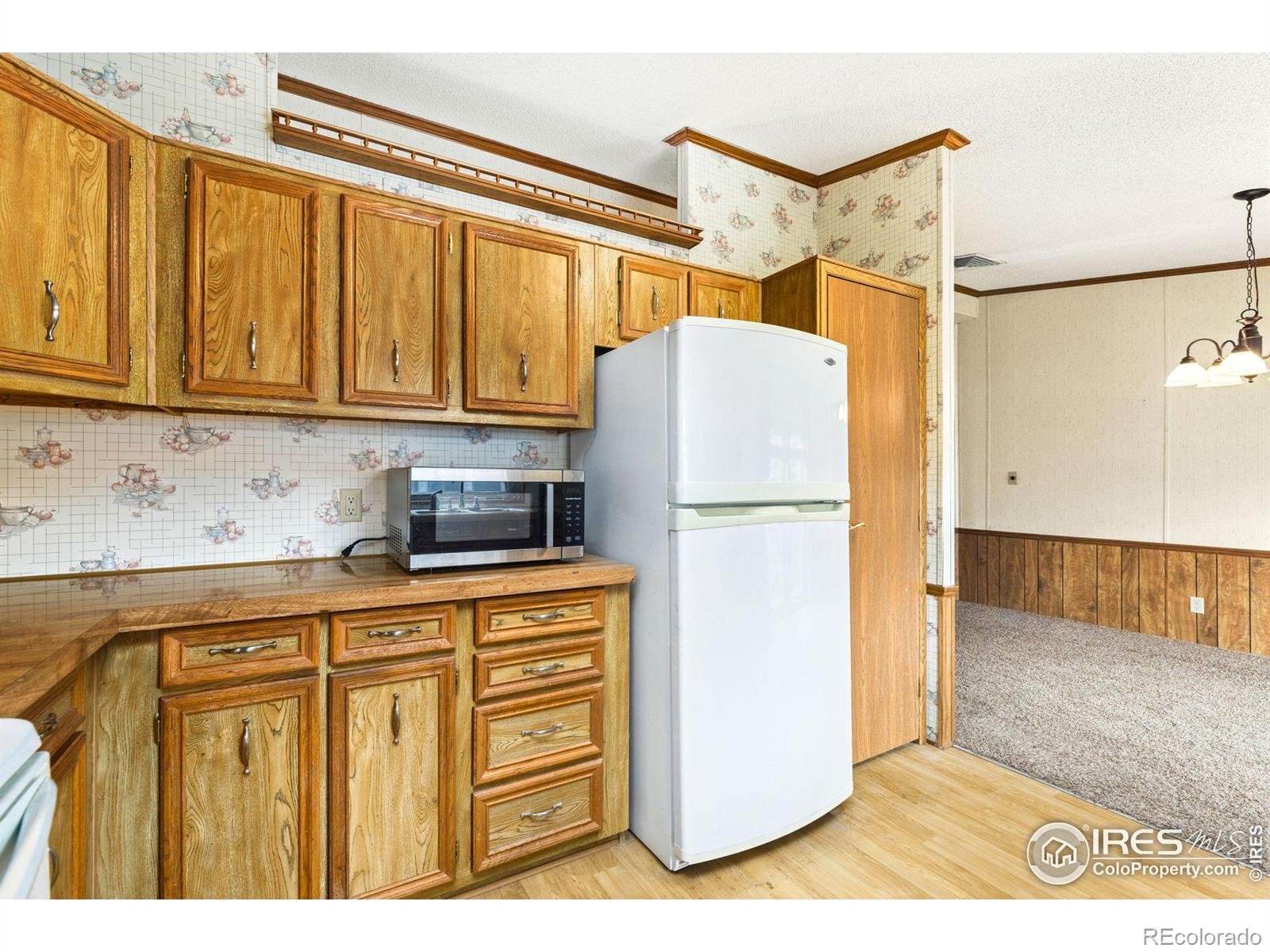 MLS Image #8 for 1662  garnet street,loveland, Colorado