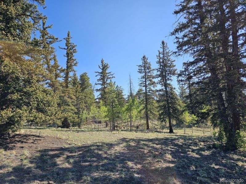 MLS Image #37 for 1073  ute trail,jefferson, Colorado