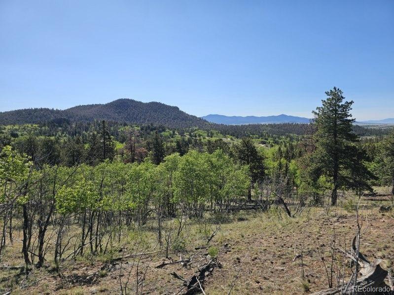 MLS Image #39 for 1073  ute trail,jefferson, Colorado