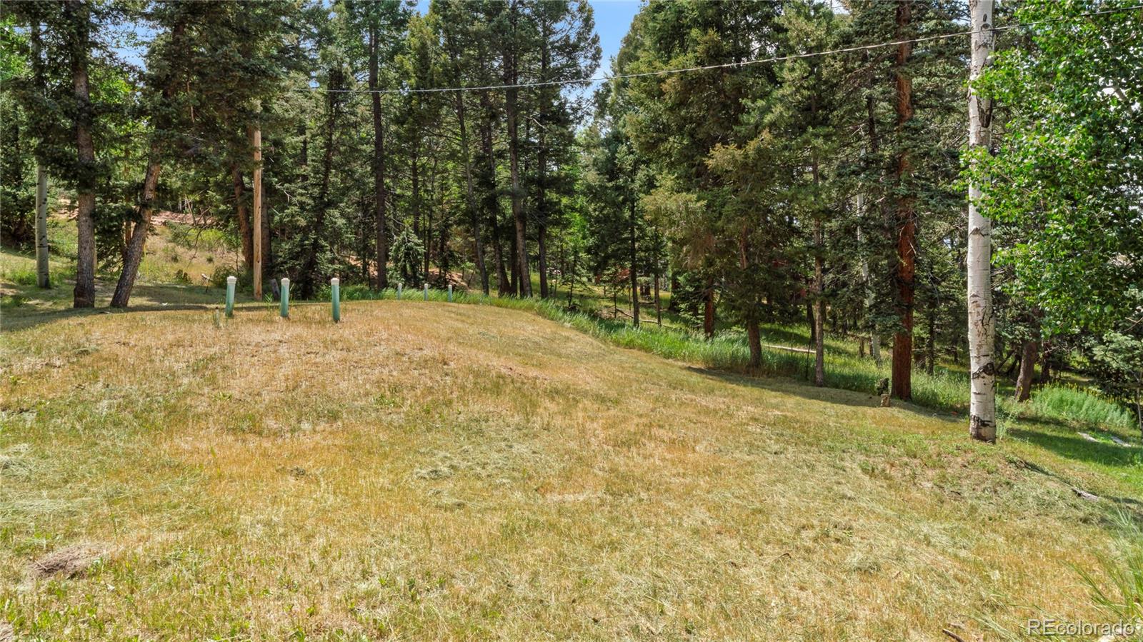 MLS Image #33 for 447  sir richard drive,divide, Colorado