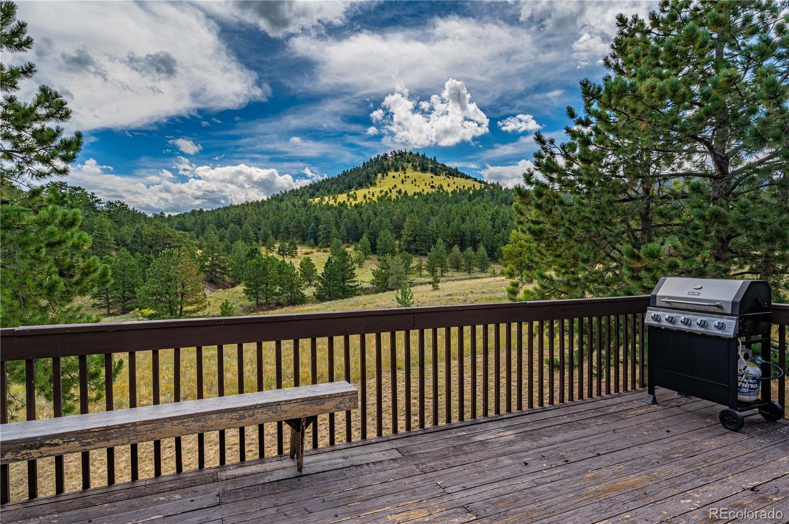 MLS Image #33 for 998  bunker hill road,silver cliff, Colorado