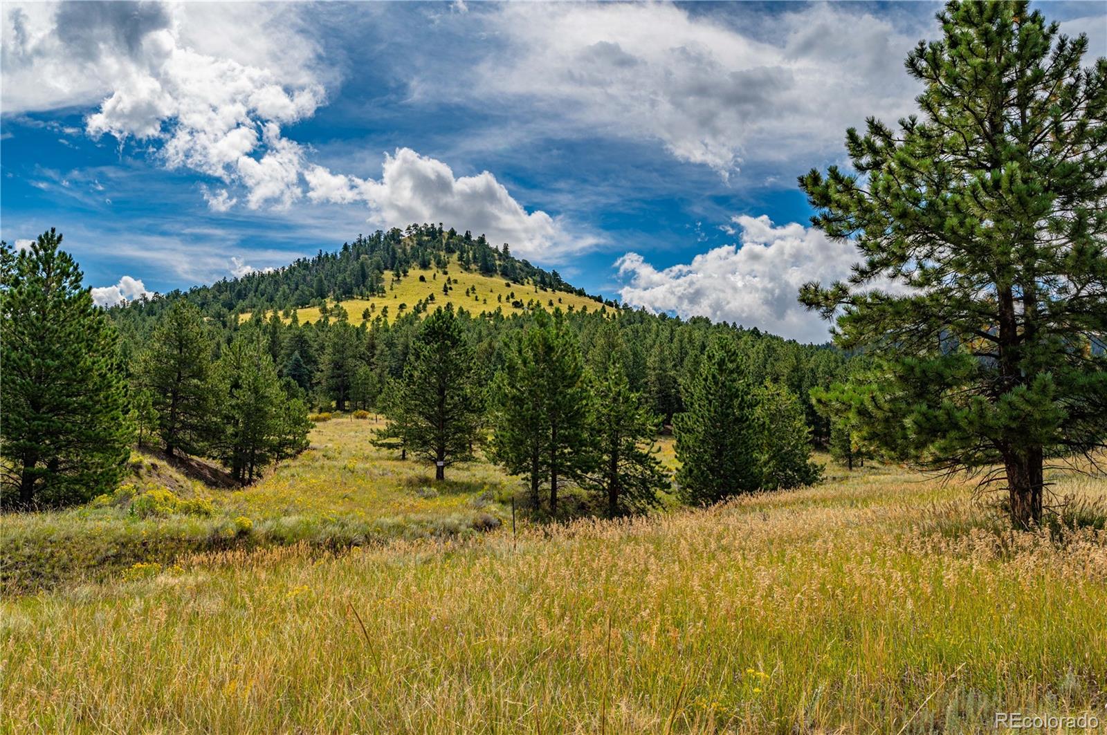 MLS Image #45 for 998  bunker hill road,silver cliff, Colorado